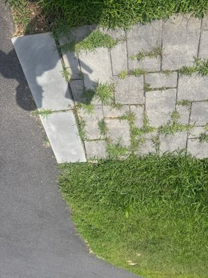 Gutter Cleaning in Wharton, NJ — Gallo Bros job photo