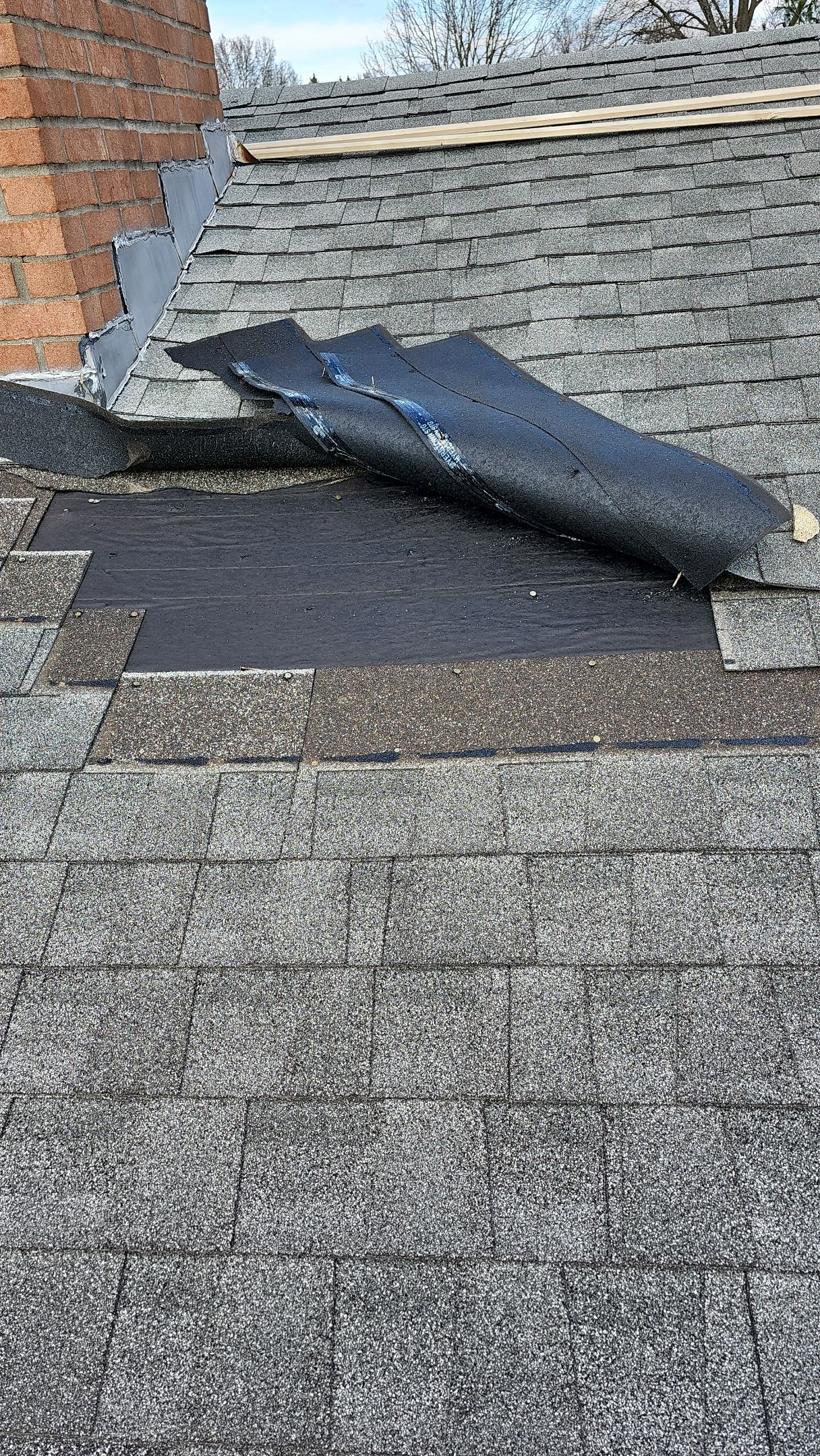 ATLAS PINNACLE COLOR: COASTAL GRANITE by Eagle Eye Roofing