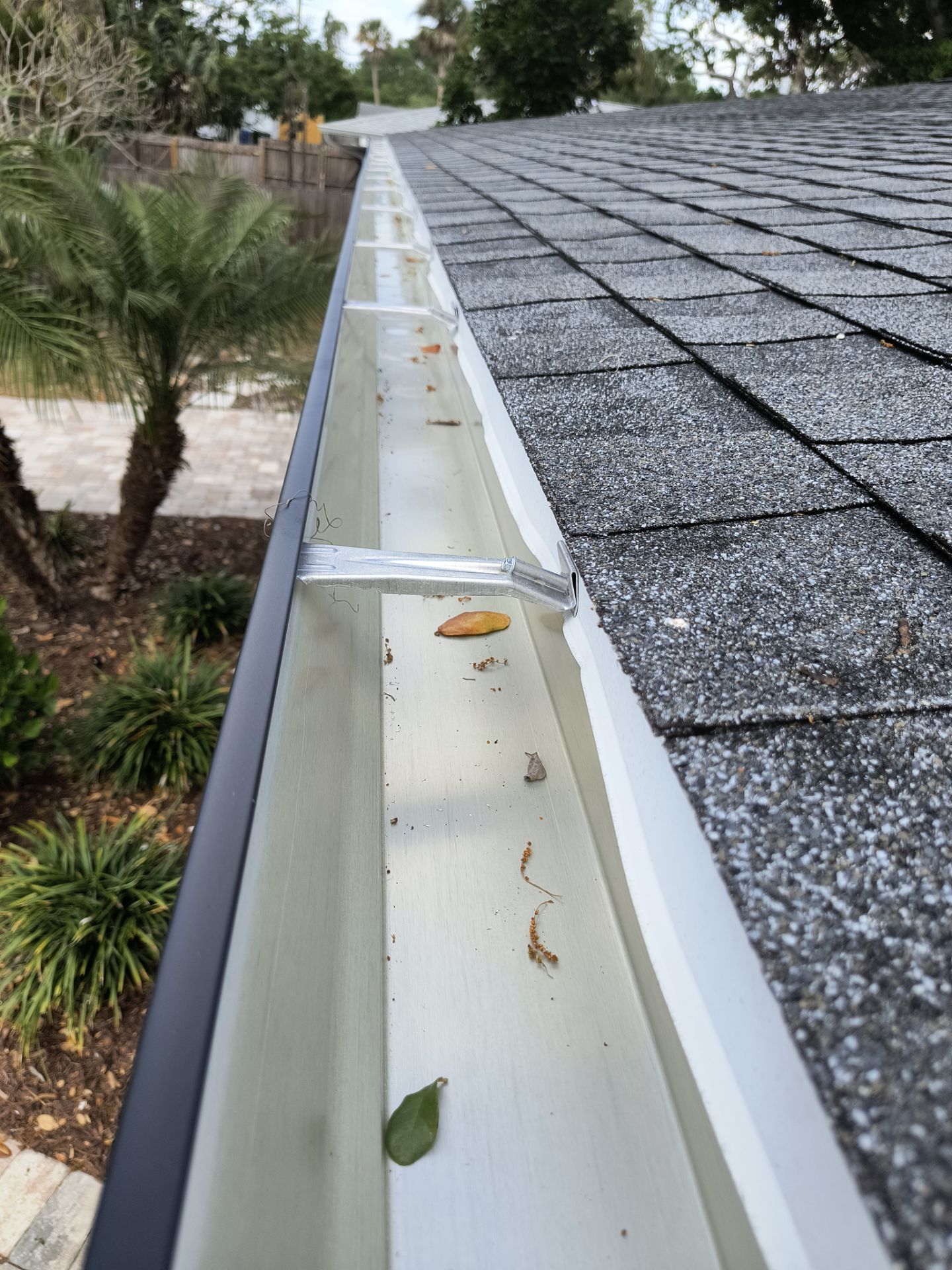 Black Seamless Gutters using 7 inch seamless gutters & New White Soffit in Sarasota FL by Gutter Professors