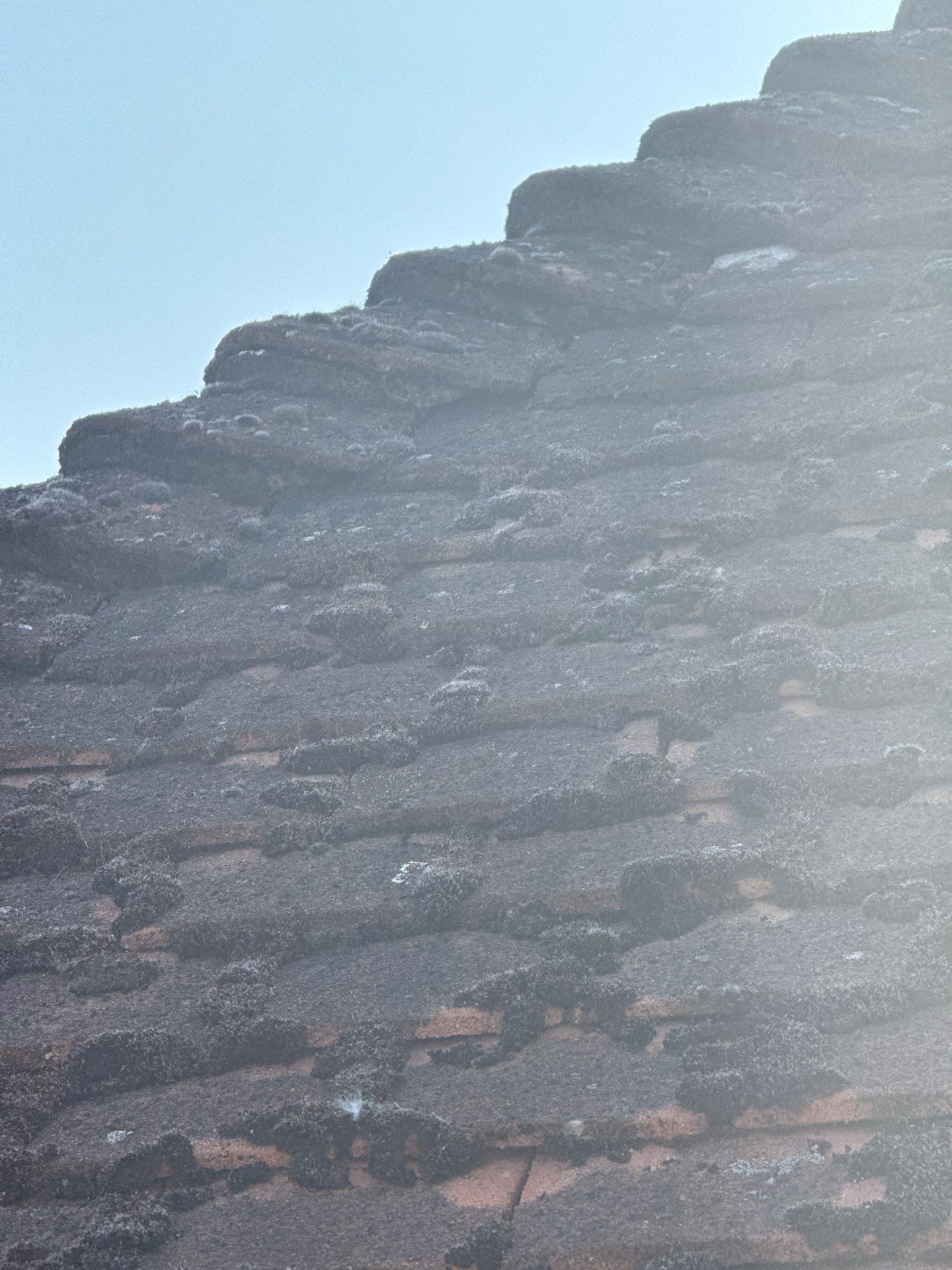 Roof Clean - Gutter Clean - Biocide Treatment by Ges Exterior Cleaning ltd