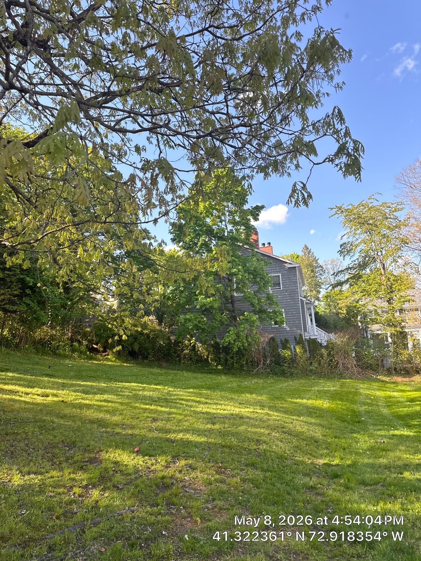 Residential Lawn Care and Hedge Trimming in New Haven by Diamond Image LLC