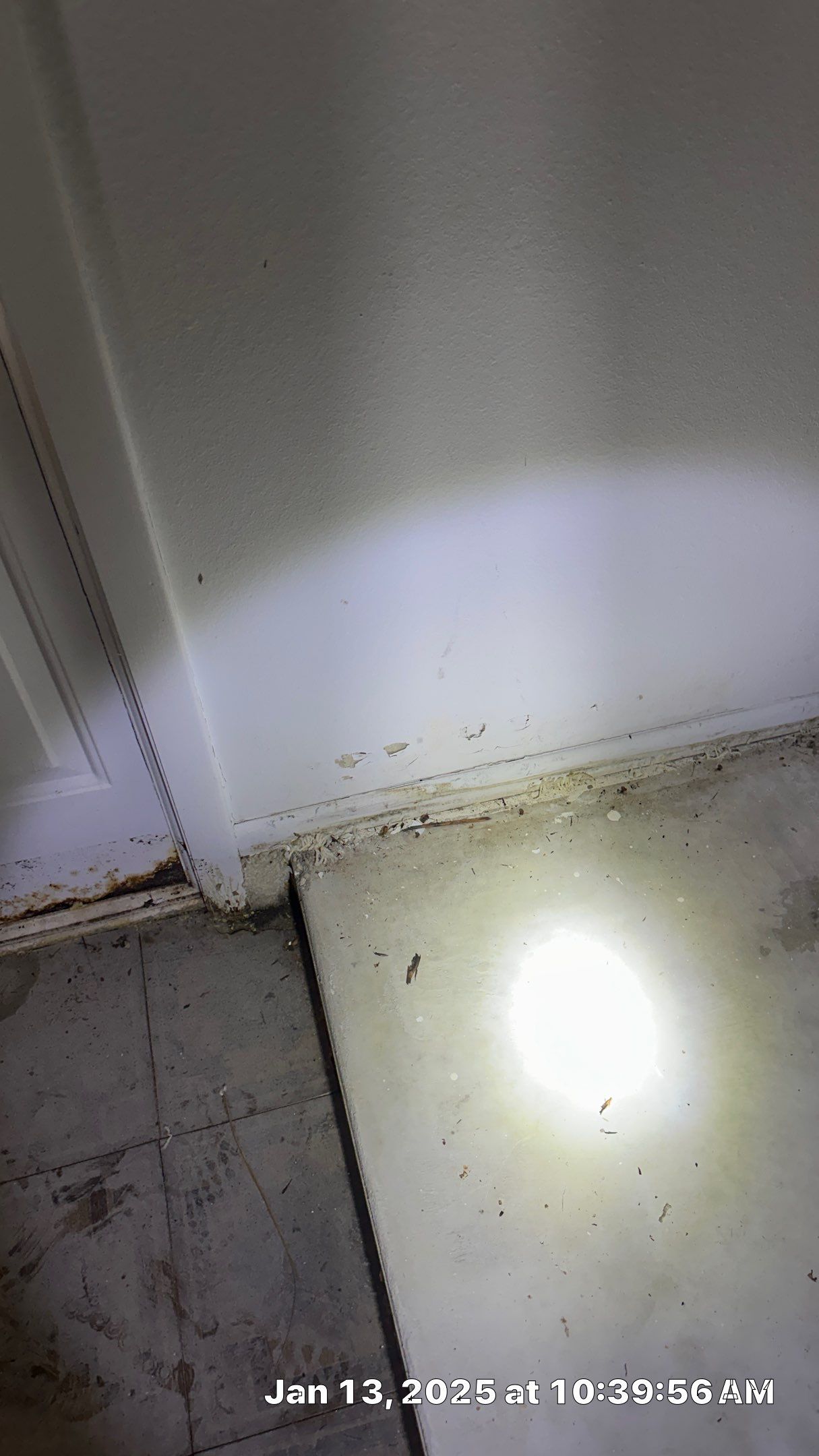 Mold Assessment using IR Camera, Moisture Meter, Air Cassette samples and Tape lifts by Building performance Solutions LLC