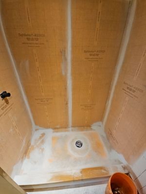 Mold removal and new shower Installation