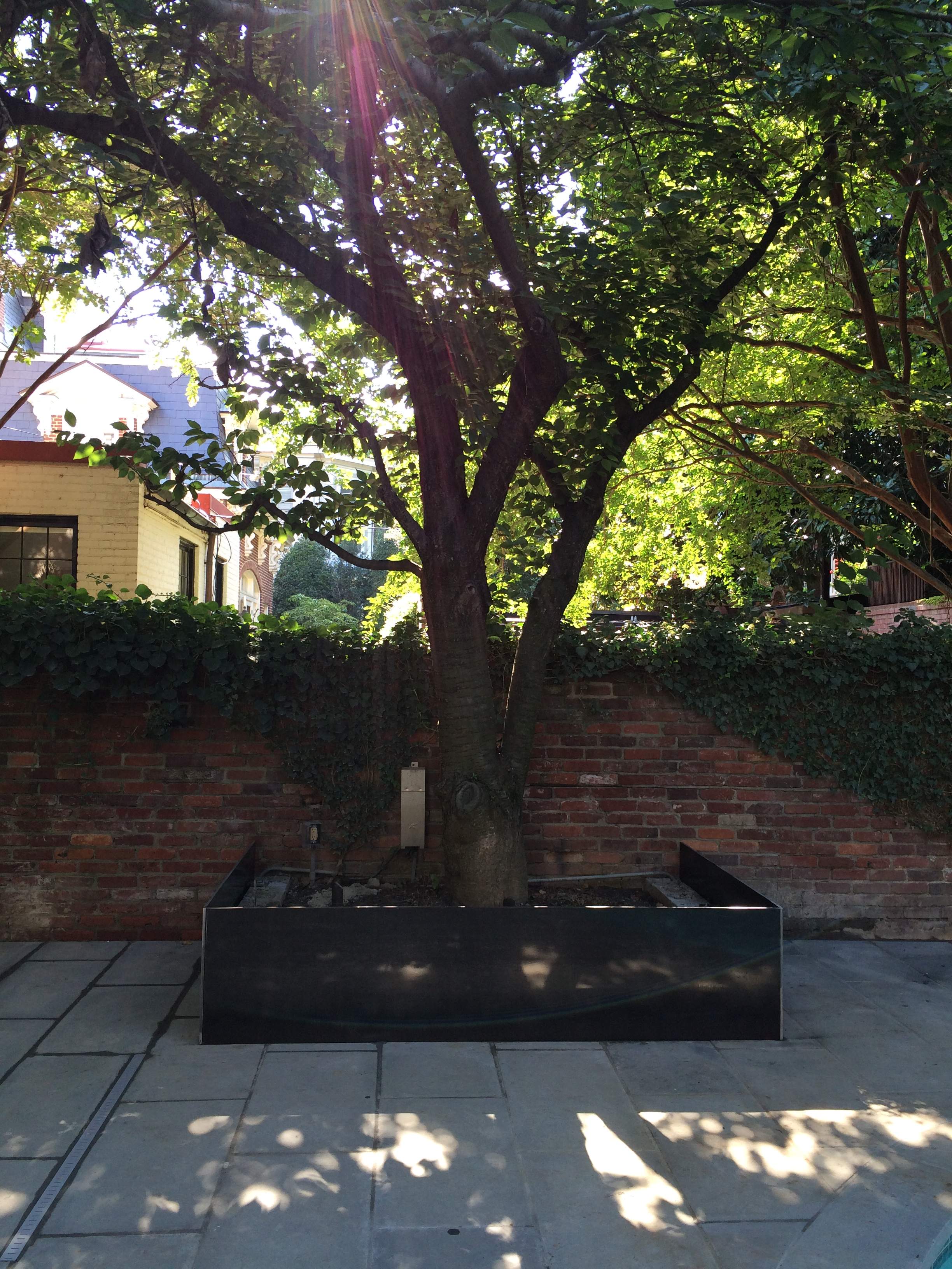 Custom Steel Tree Boxes & Planters – Urban Landscaping – Washington, DC by Capitol Iron Works