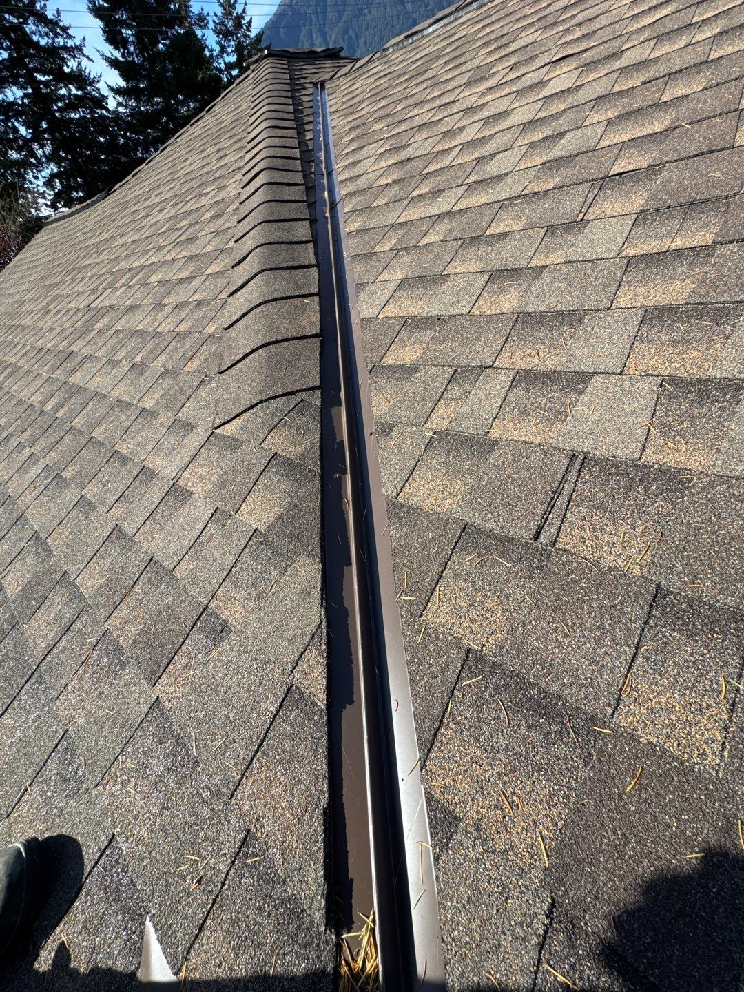 Residential Reroof Shingle - Barkwood by Top Notch Roofing Inc