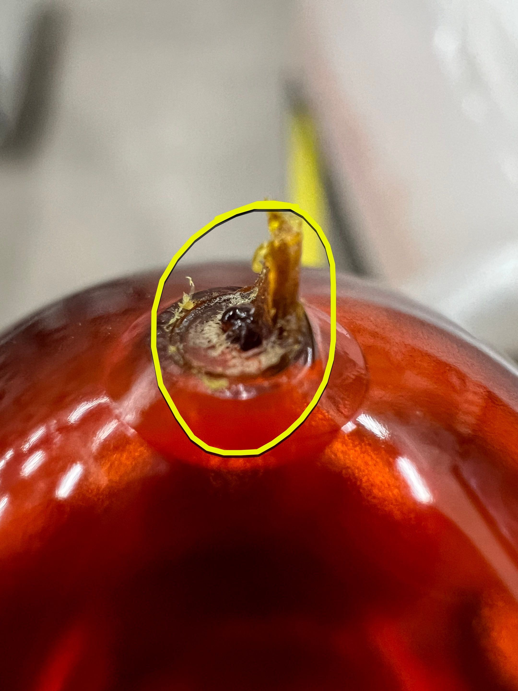 Phoenix AHC FlexBlow by Altium Packaging