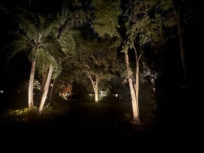Custom Residential Landscape and Tree Uplighting Project in Odessa