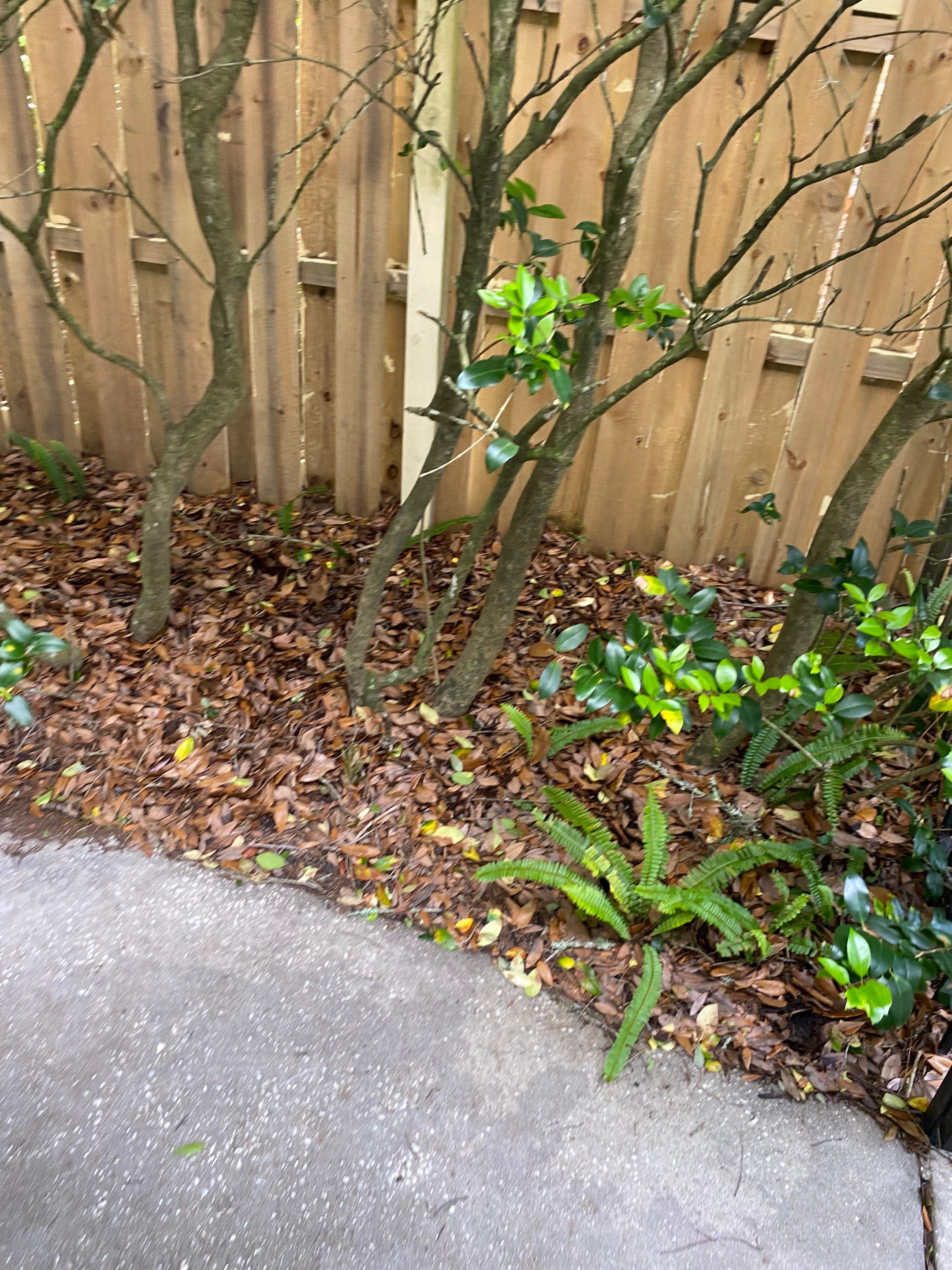Deerwood Resident | Pine Straw Installation by ProGreen Services