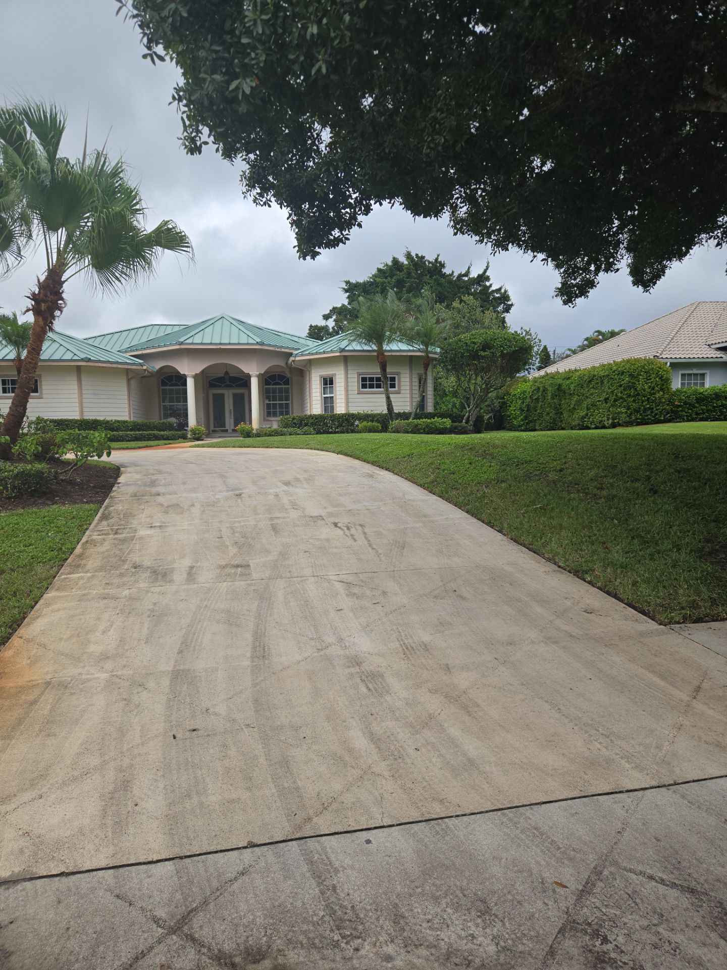 🌴 A Masterclass in Proper Palm Tree Cleaning & Trimming in Palm City Community by Alpha Zeta Enterprises Inc