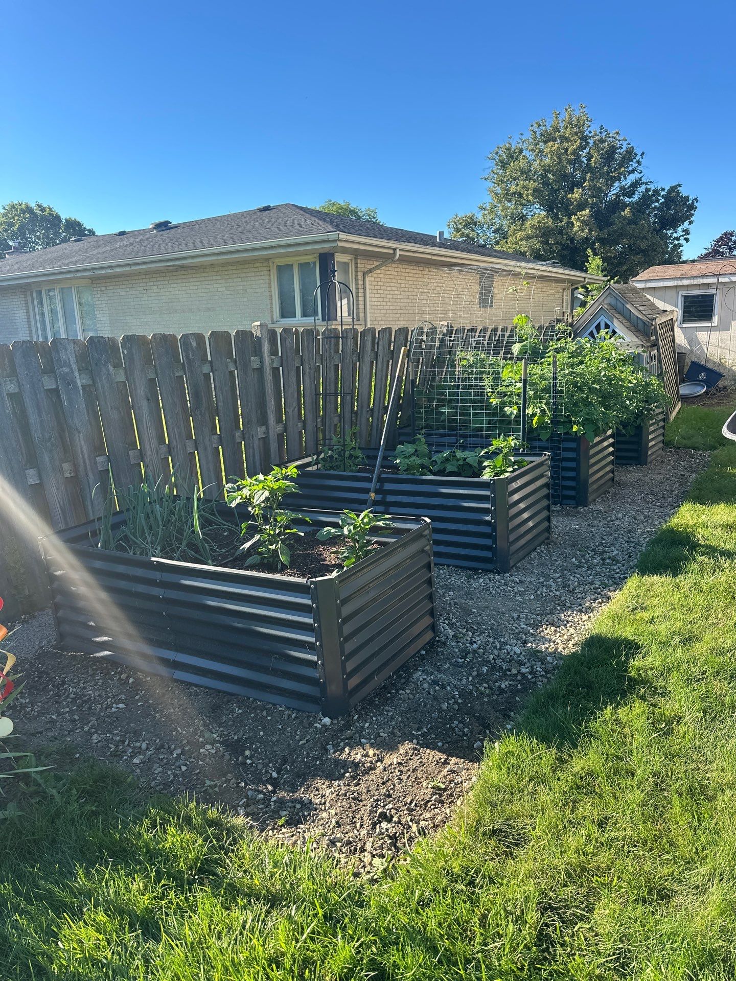 Kevin Z. - Mount Prospect, IL by A&N
