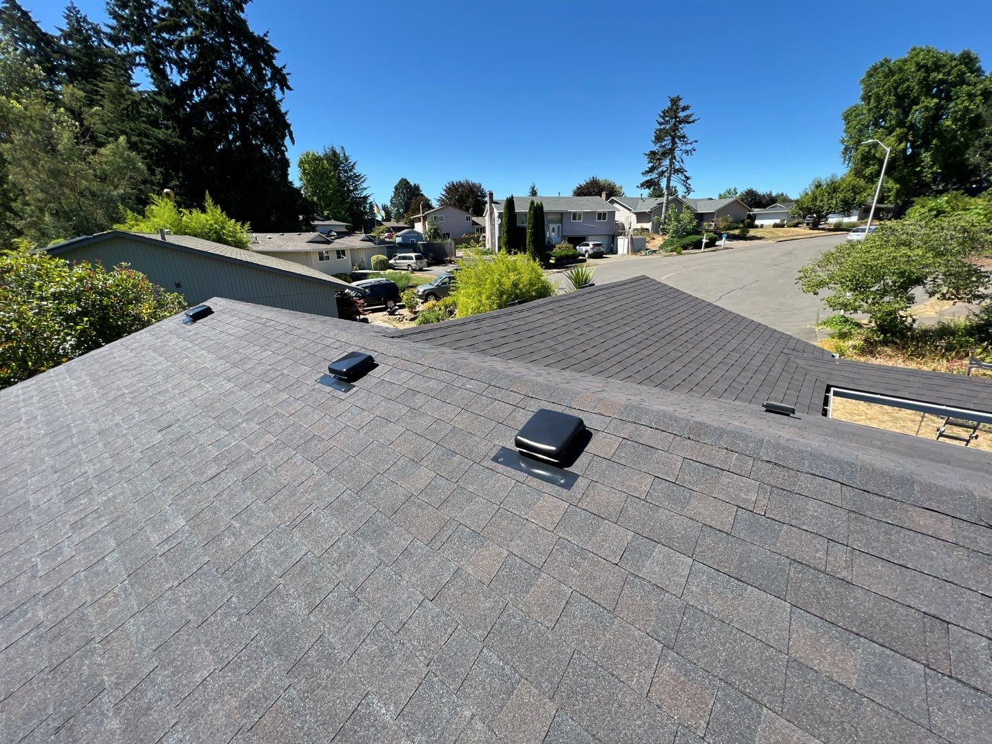 Black Sable Shingles by Reimagine Roofing