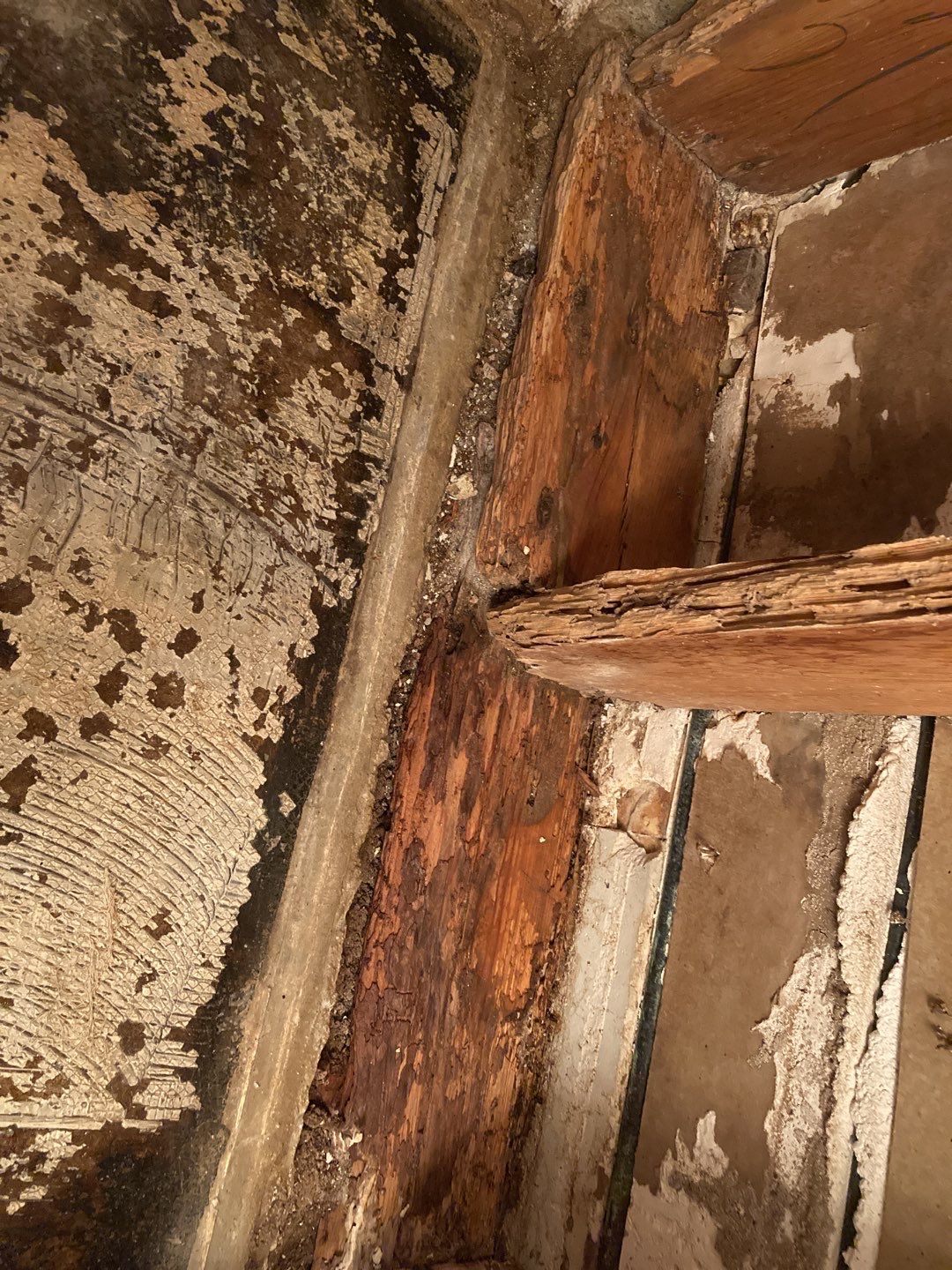 Water Damage Repair by Accountable Home Services