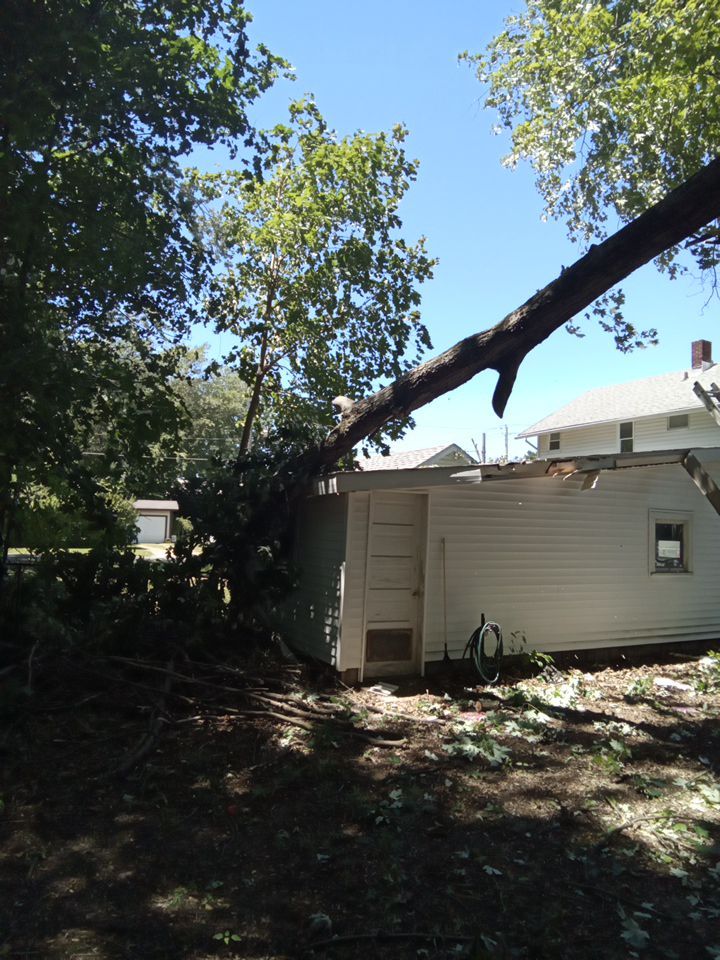 Storm Damaged Tree Removal  using Tree Removal by Mike Jones & Sons Tree Service LLC 