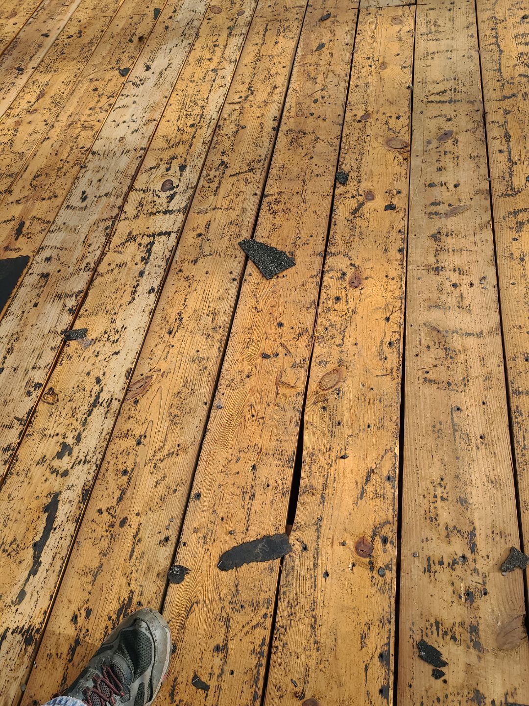 Alexandria CertainTeed Landmark Pro Roof in Max Def Charcoal Black by RM Banning, Inc.