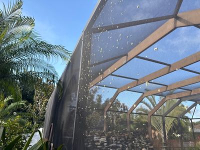 Pool Cage Screen Enclosure Cleaning – Oakley Community, Ellenton, FL 34222