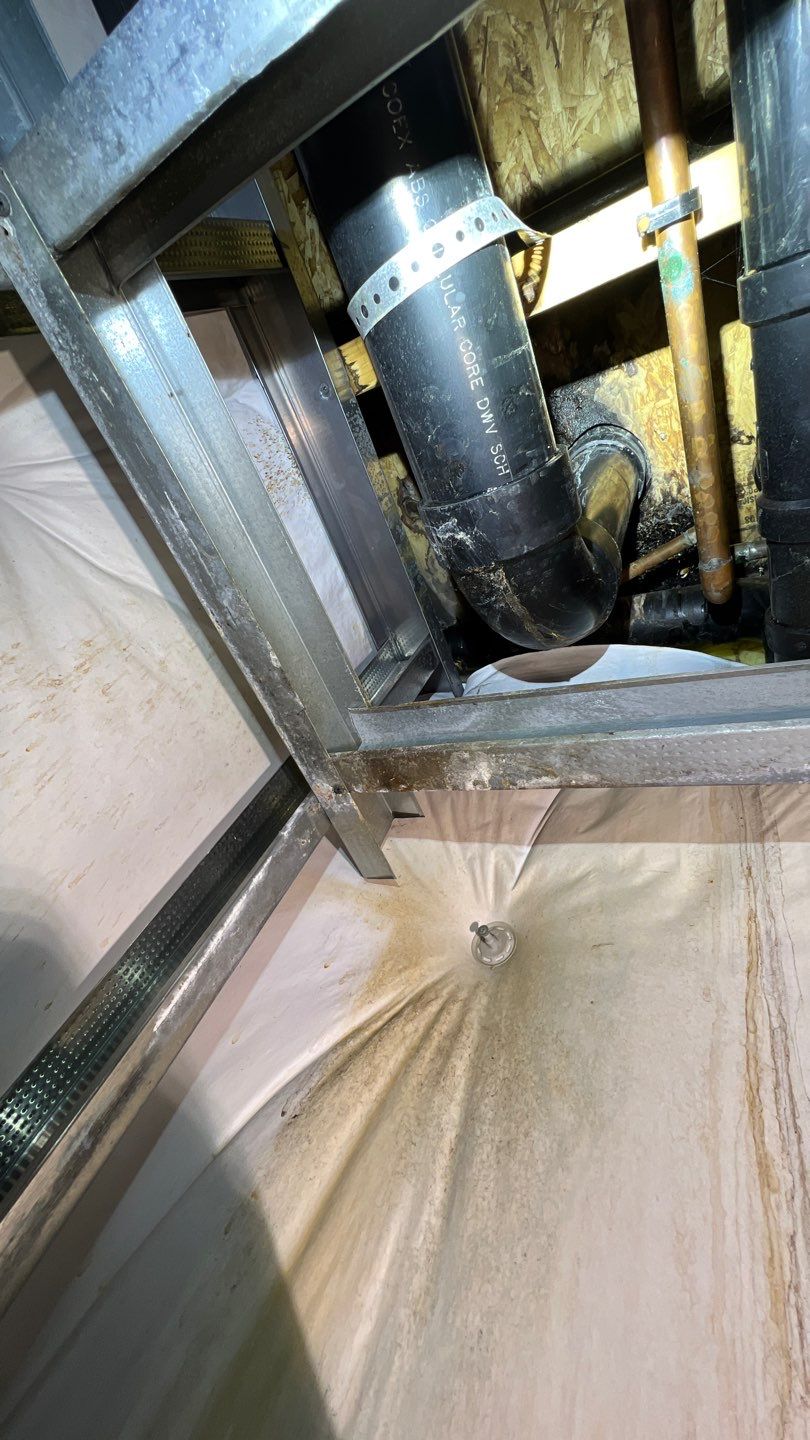 Mold Remediation by Accountable Home Services