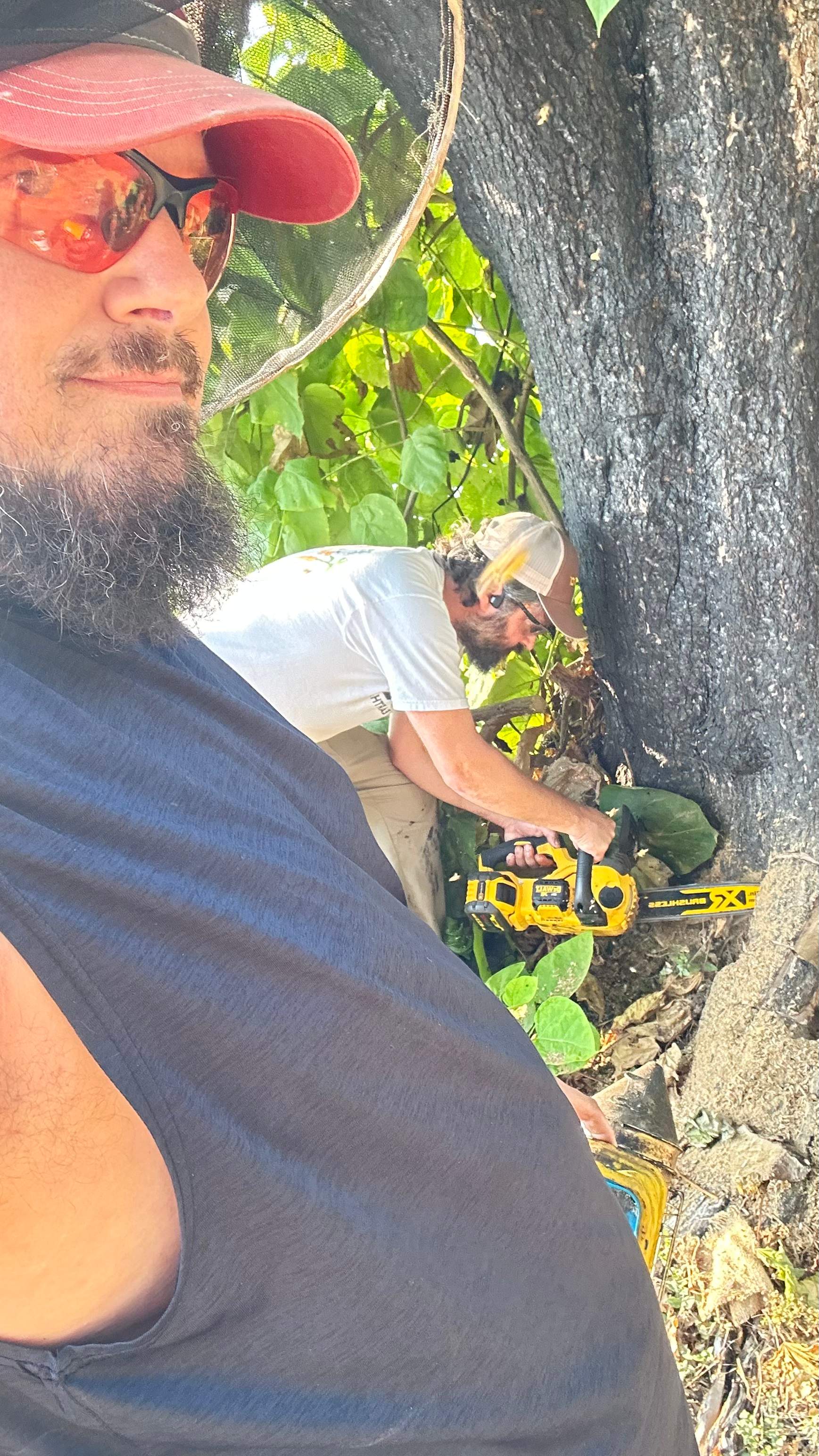 City Tree Company  by Rockwall Honey Bee Company