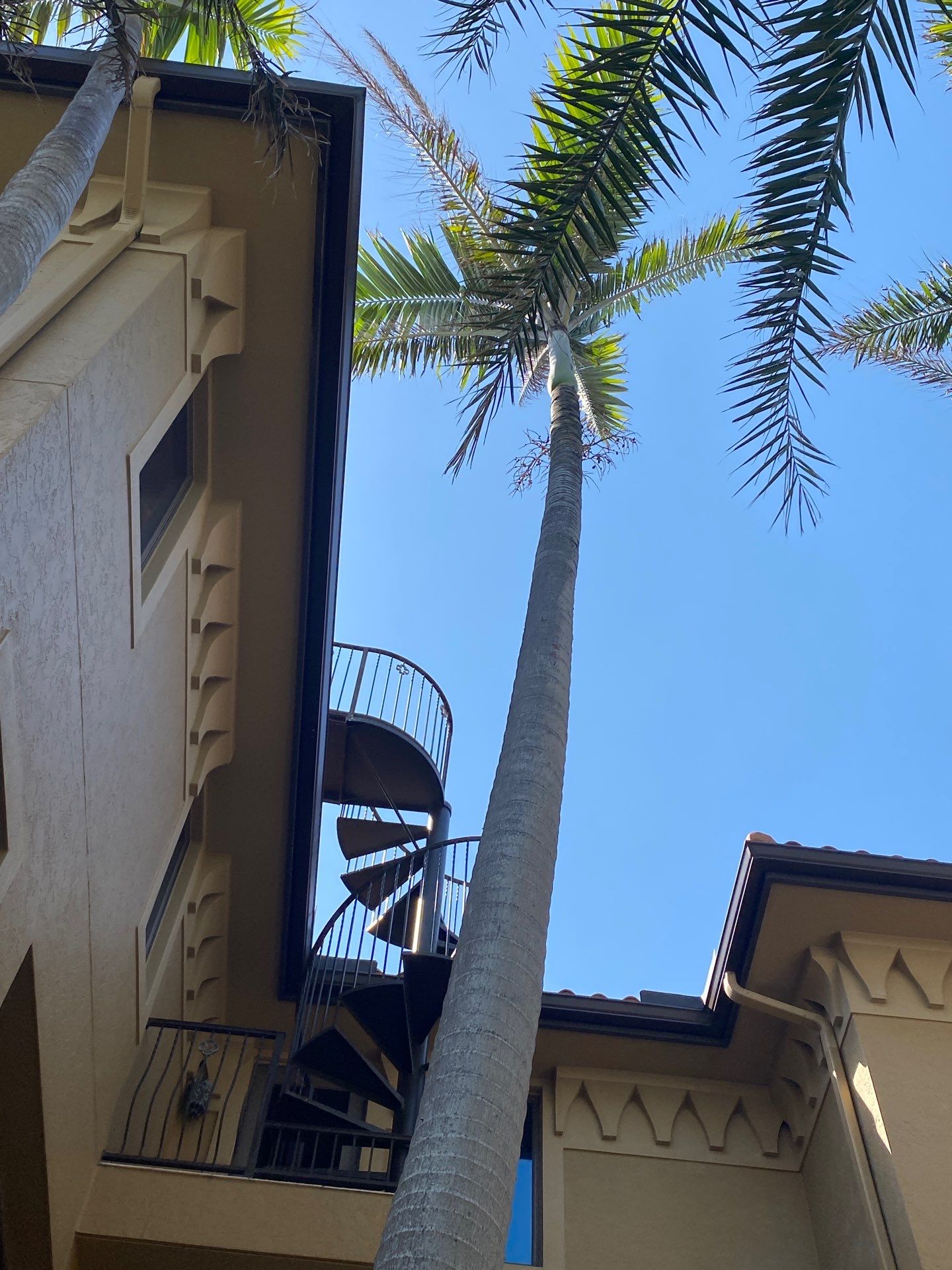 Bronze Gutters in Longboat Key FL by Gutter Professors