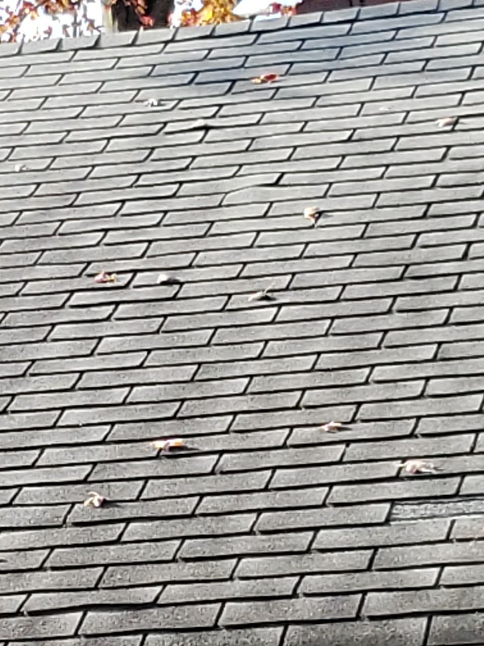 ATLAS PINNACLE SCOTCHGARD COLOR: PEWTER DRIP EDGE: BLACK by Eagle Eye Roofing