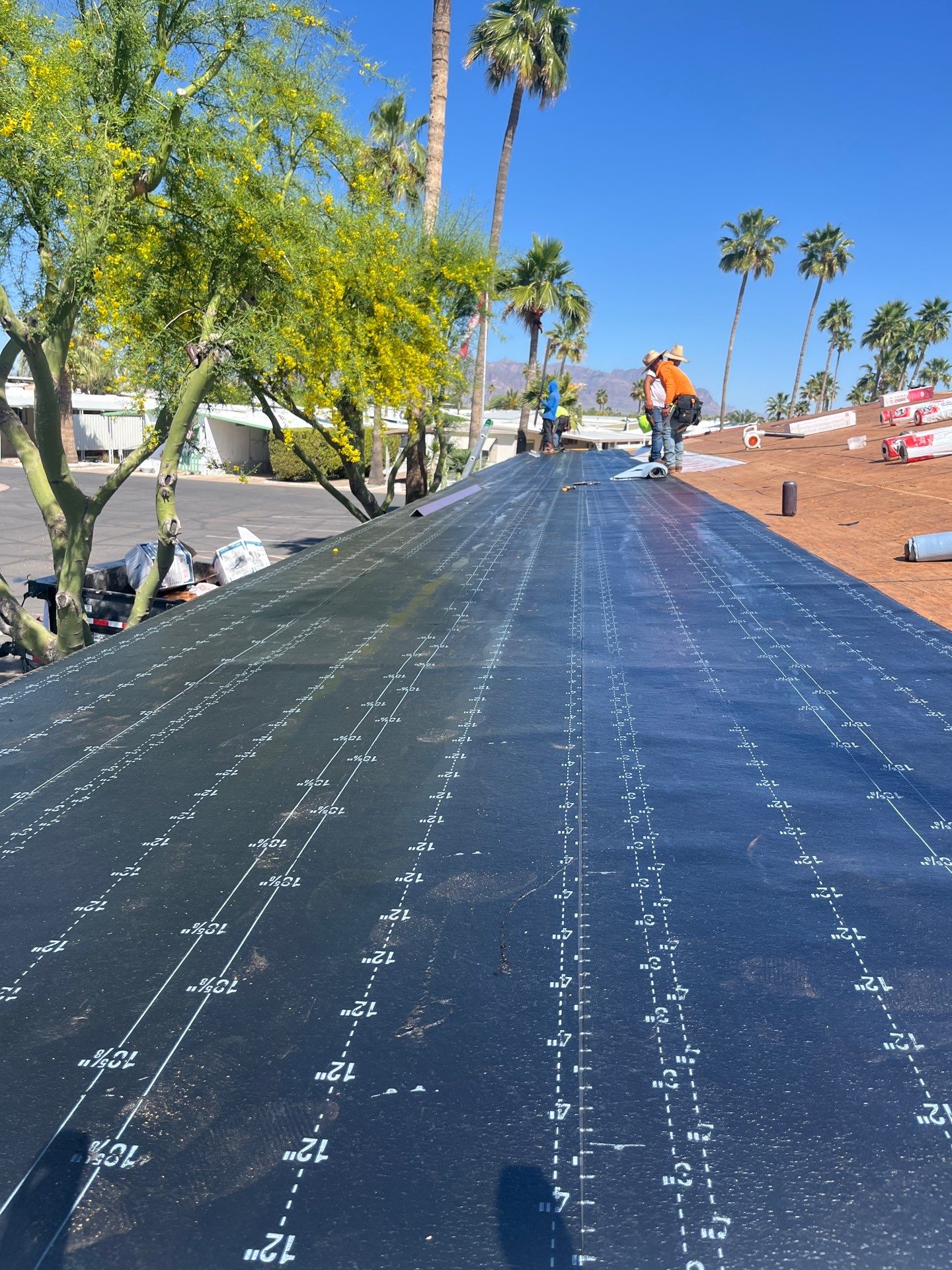 Harvest Brown Shingles by Reimagine Roofing