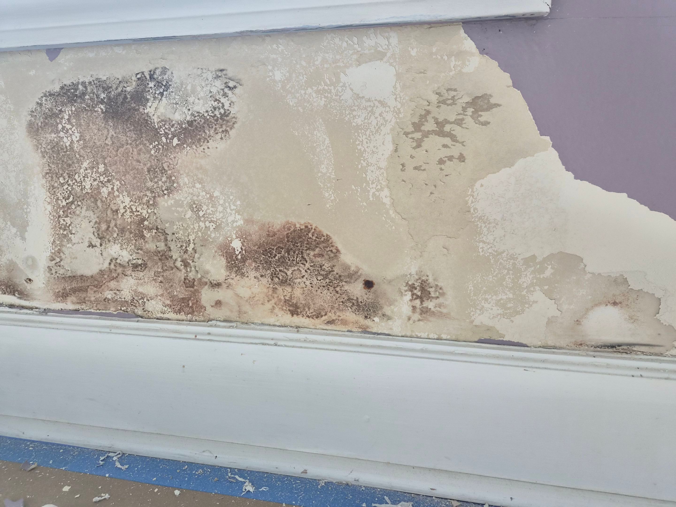 Extensive Interior Repair & Repaint in Tyler TX by Quality Coats Painting