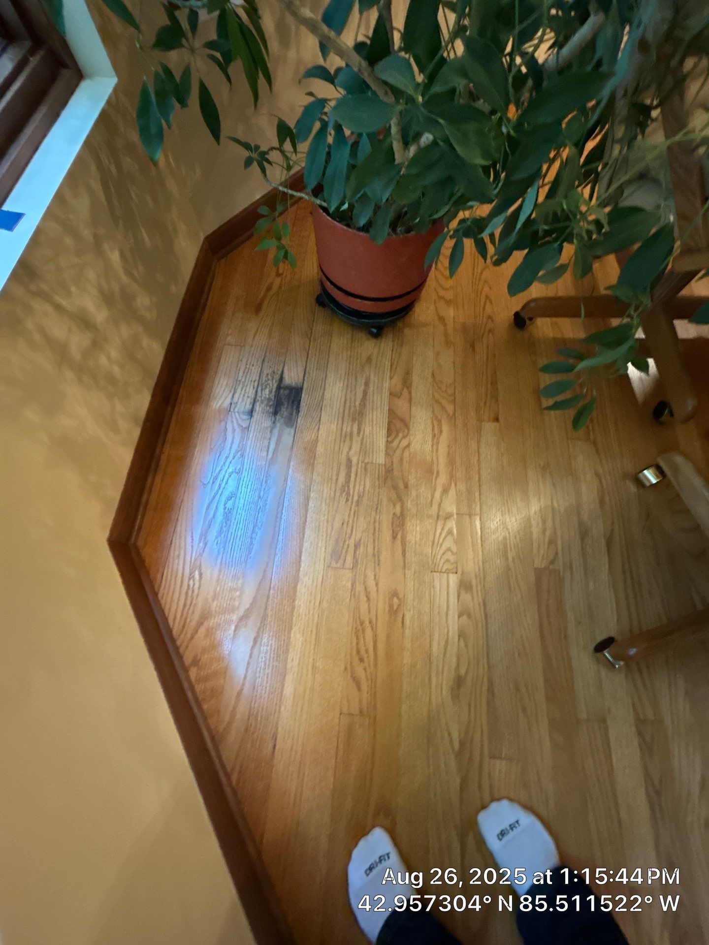 We FIX Water Damage! by RTBaldwin Hardwood Floors