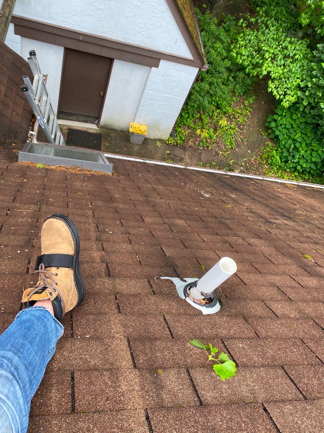 Arlington: CertainTeed Landmark Pro Designer Shingles in Max Def Shenandoah by RM Banning, Inc.