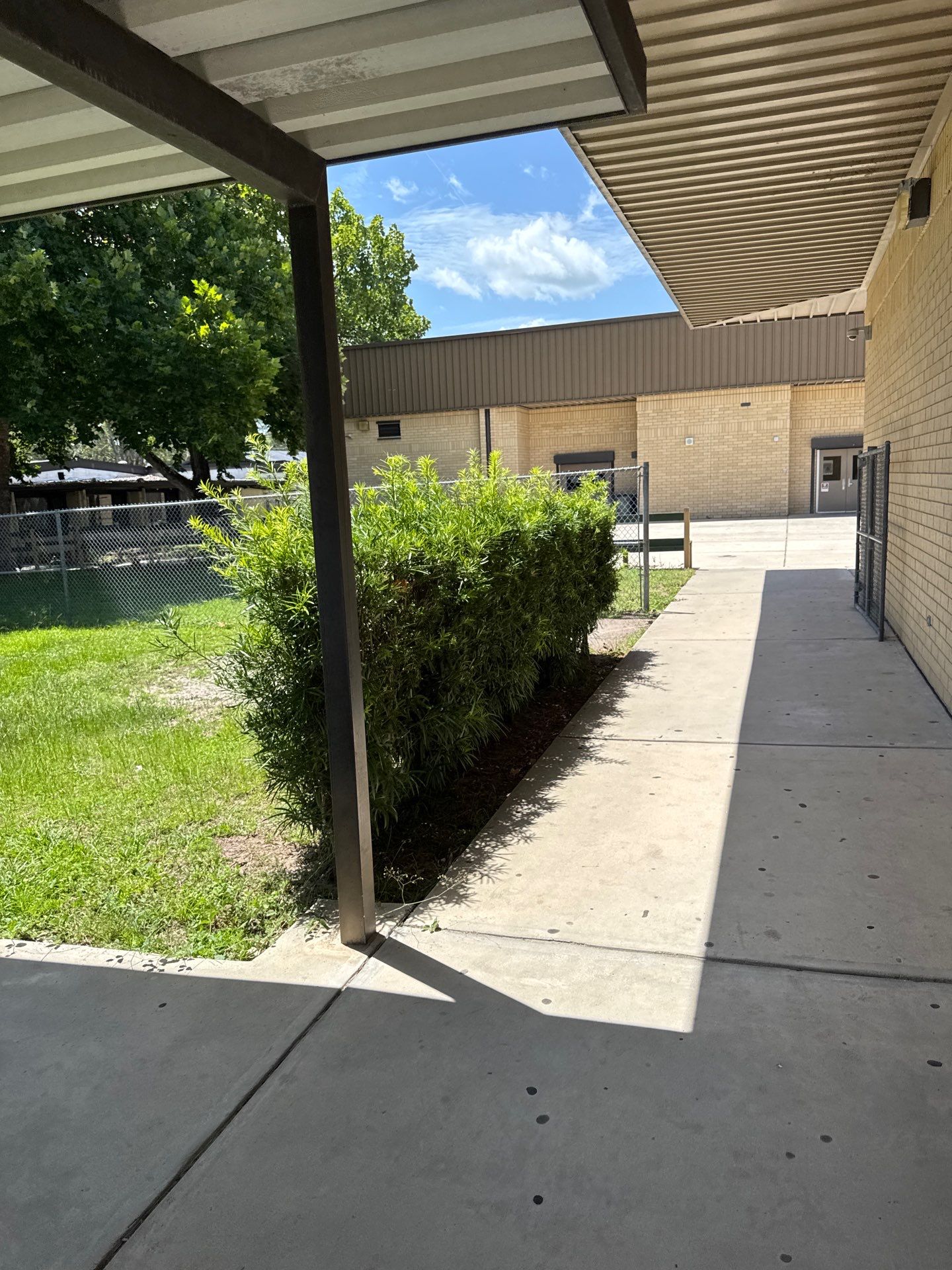 Green Cove Springs Junior High School | Landscape Refresh by ProGreen Services