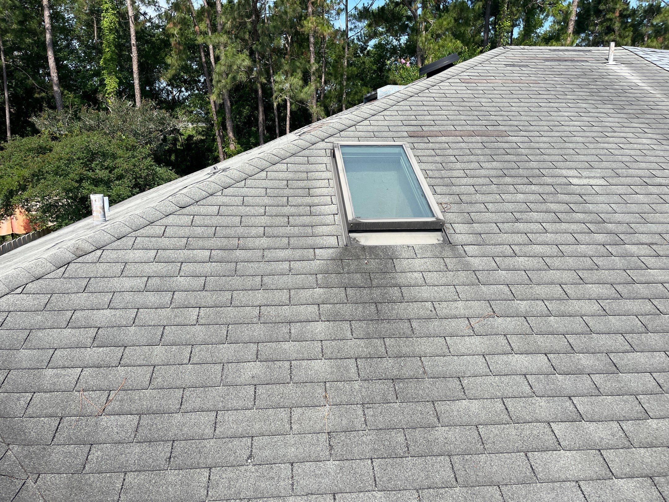 Shingle -> Shingle by Prime Roofing