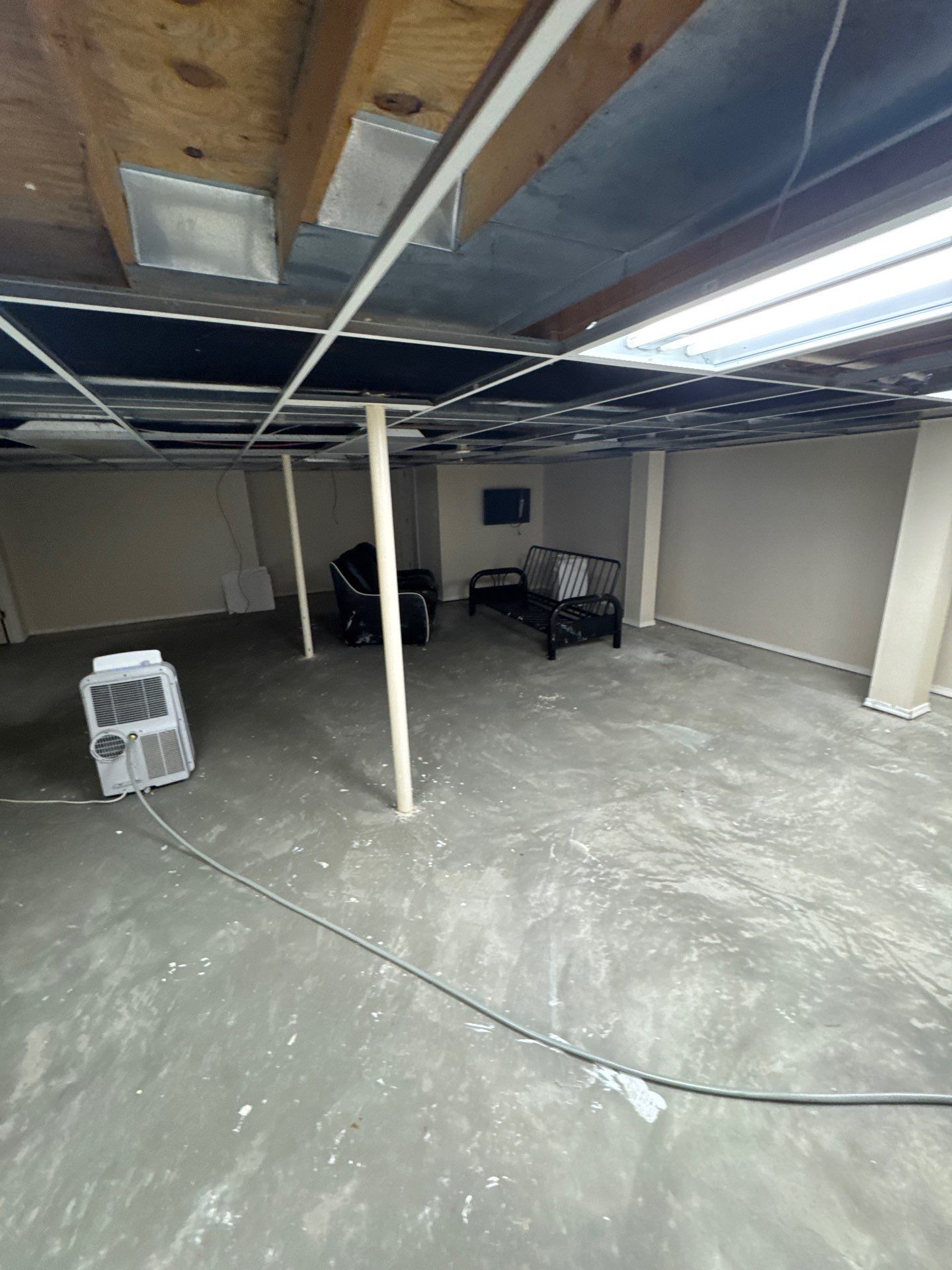 Project in Commerce Twp by EzDry Water Mitigation & Property Restoration