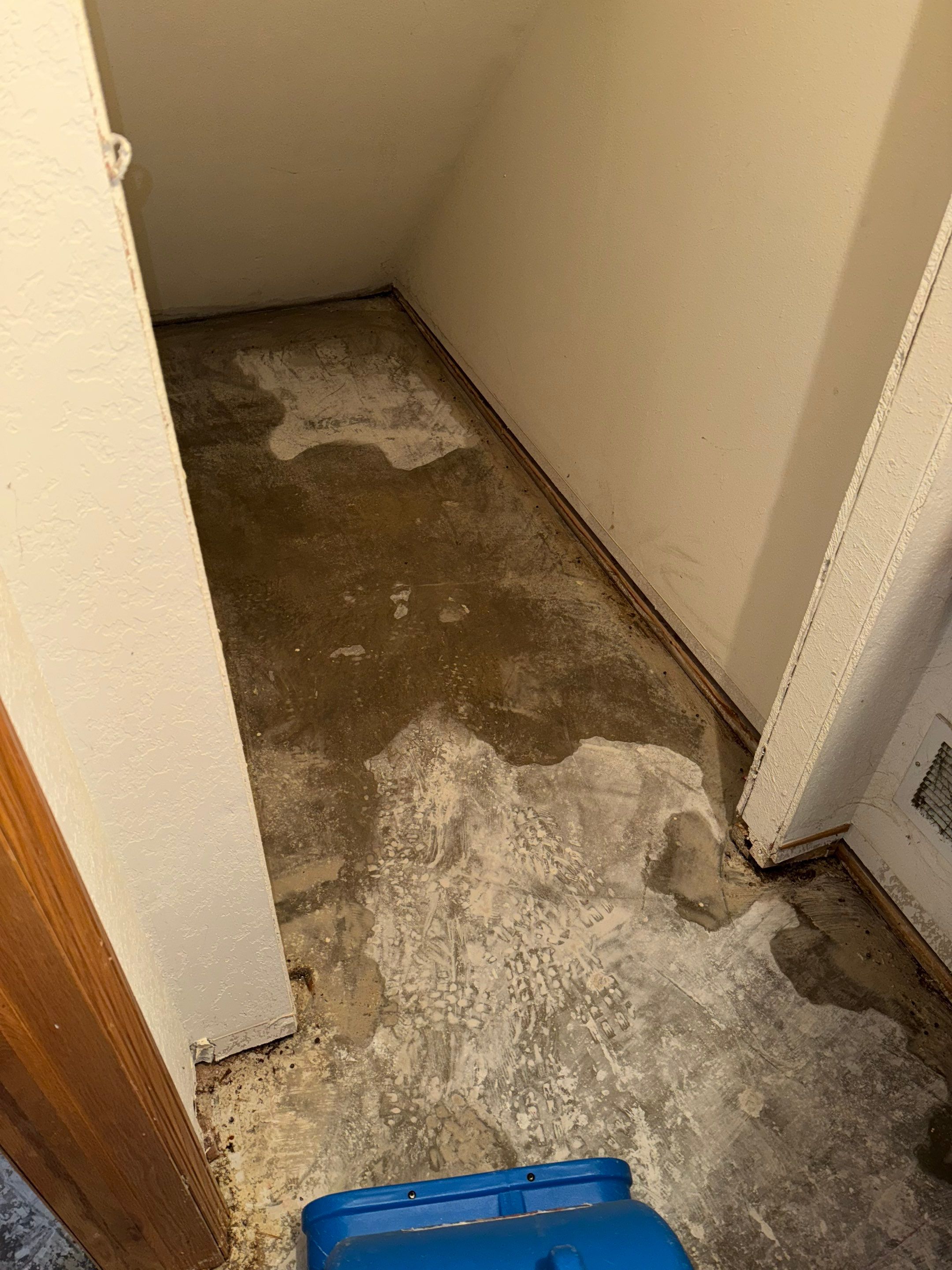 Water Damage in Wheat Ridge, CO by Alpha Restoration 