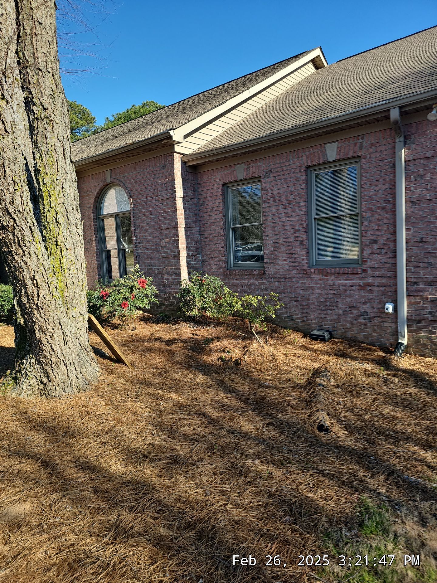 Laird Project in Helena by The Window Source