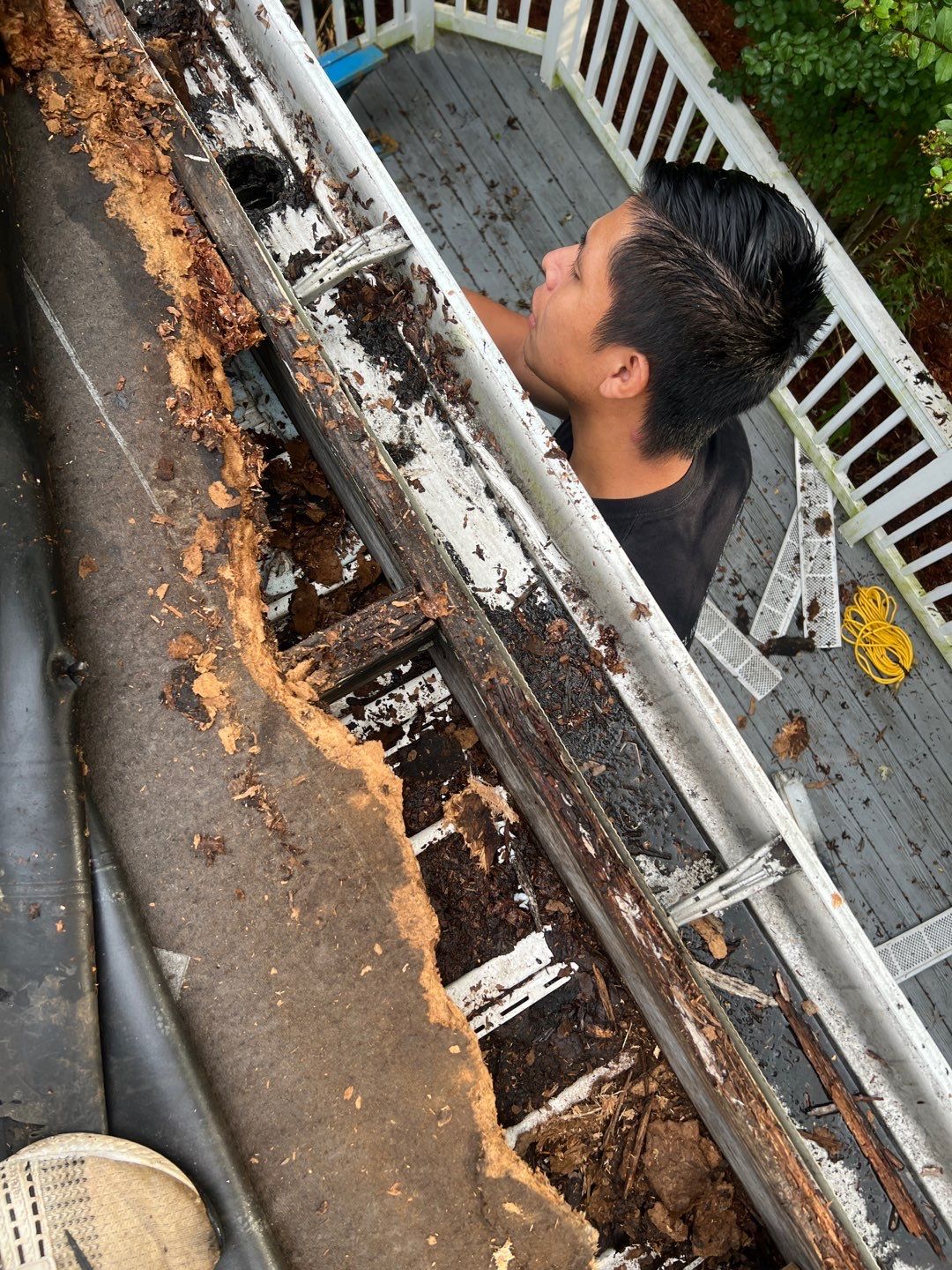 Alexandria: Residential Flat Roof Replacement with MuleHide TPO by RM Banning, Inc.