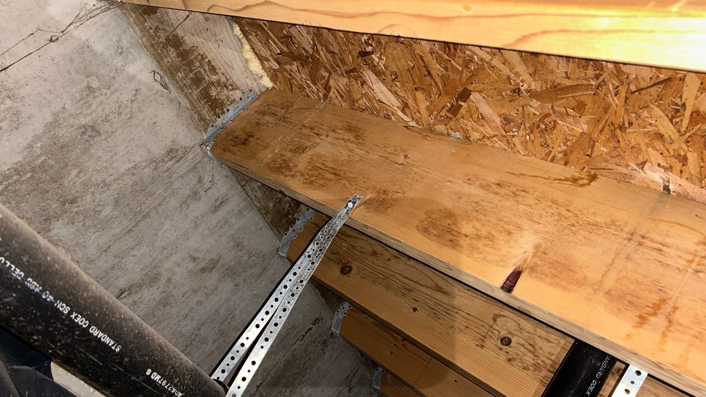 Mold Damage by Accountable Home Services