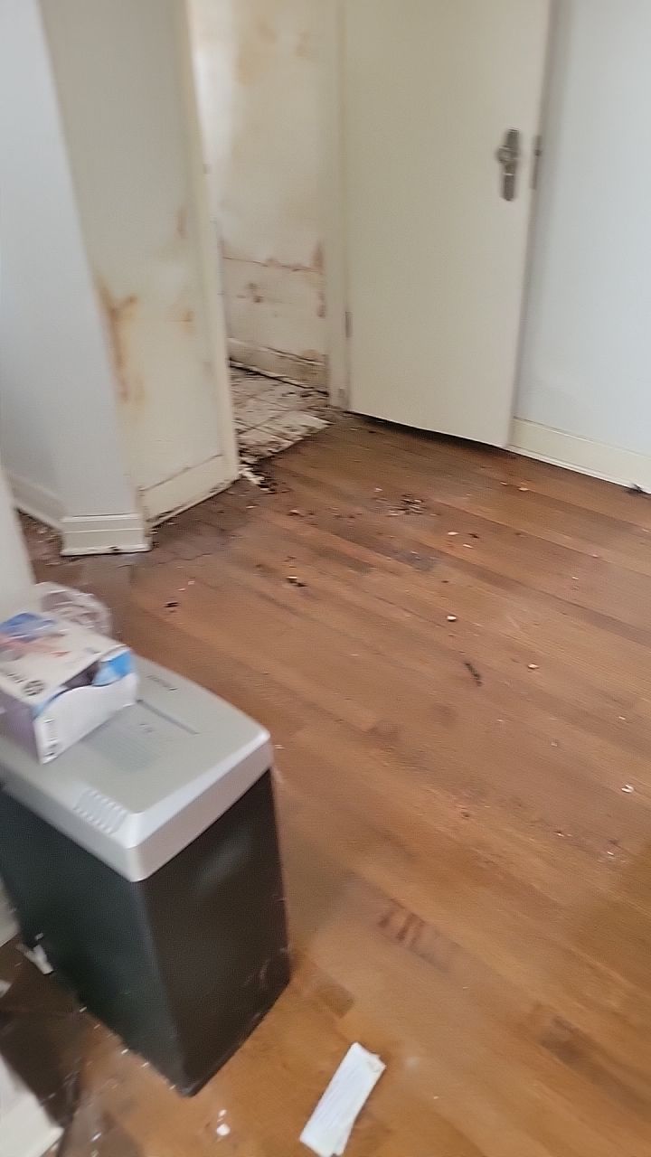 Mold Remediation by Accountable Home Services