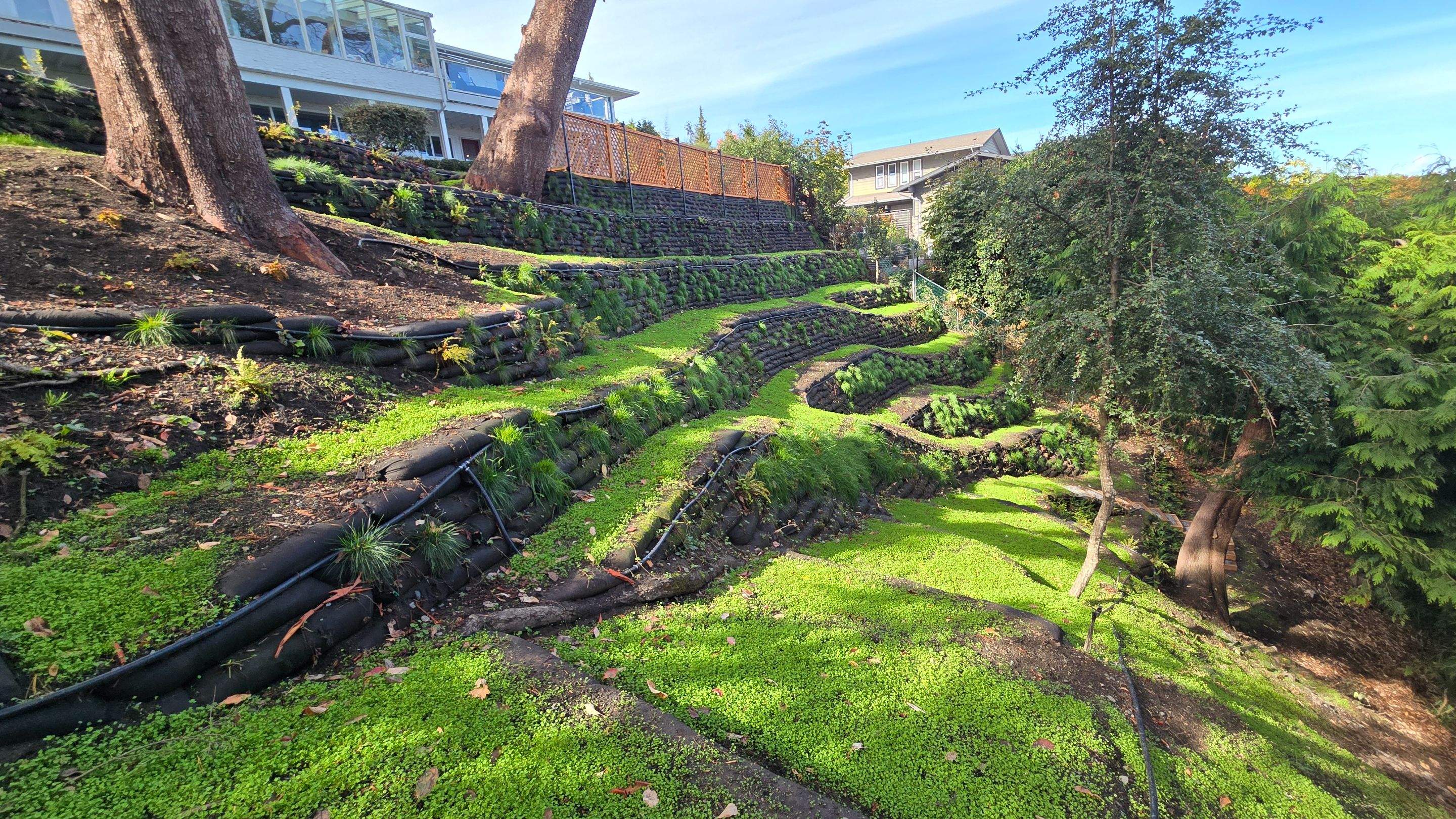 Georgia Park Terrace — Living Slope Transformation by Habanero Landscape Solutions