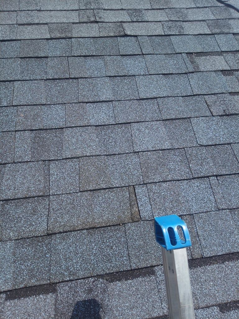 Steve Bailey by Silver Leaf Contracting 