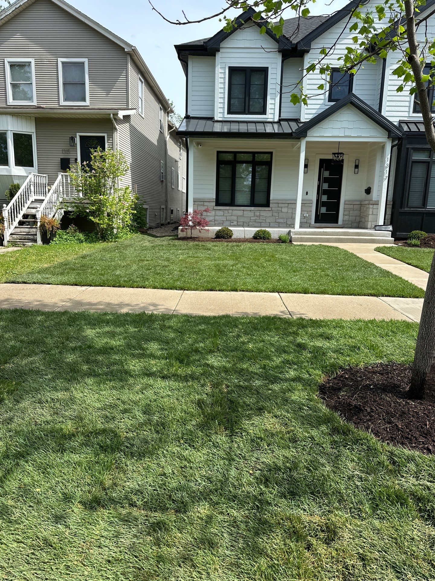 Tom D. - Wilmette, IL by A&N