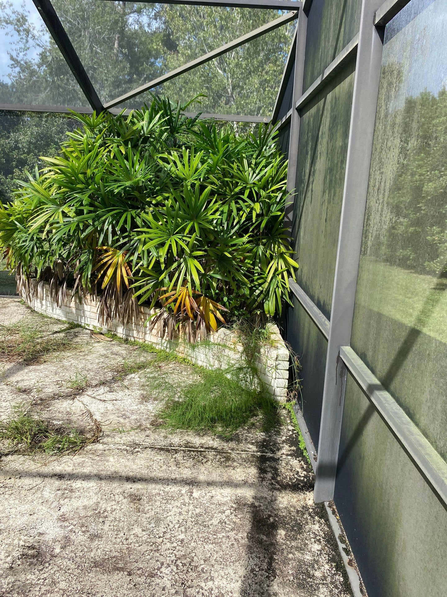 Deerwood Residence | Extreme Clean Up by ProGreen Services