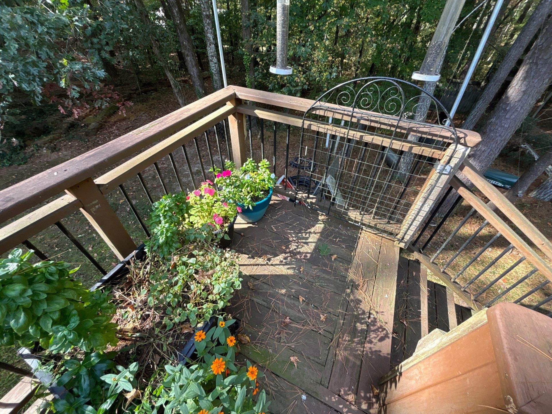 Lawrenceville, GA Deck Resurface using Pressure Treated Pine by Nelson Exteriors 