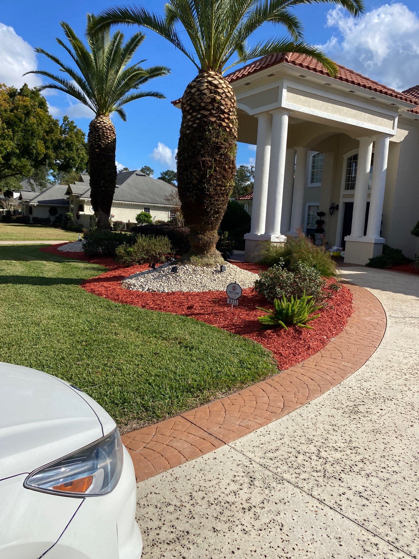 Deerwood Resident | Palm Trimming & Ground Cover by ProGreen Services