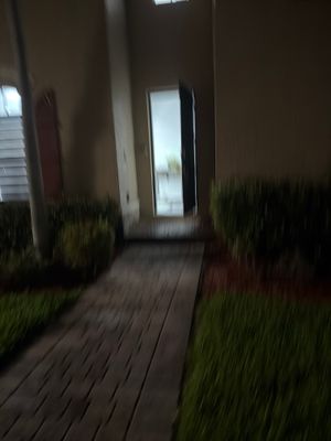 Water Damage Restoration in Homestead