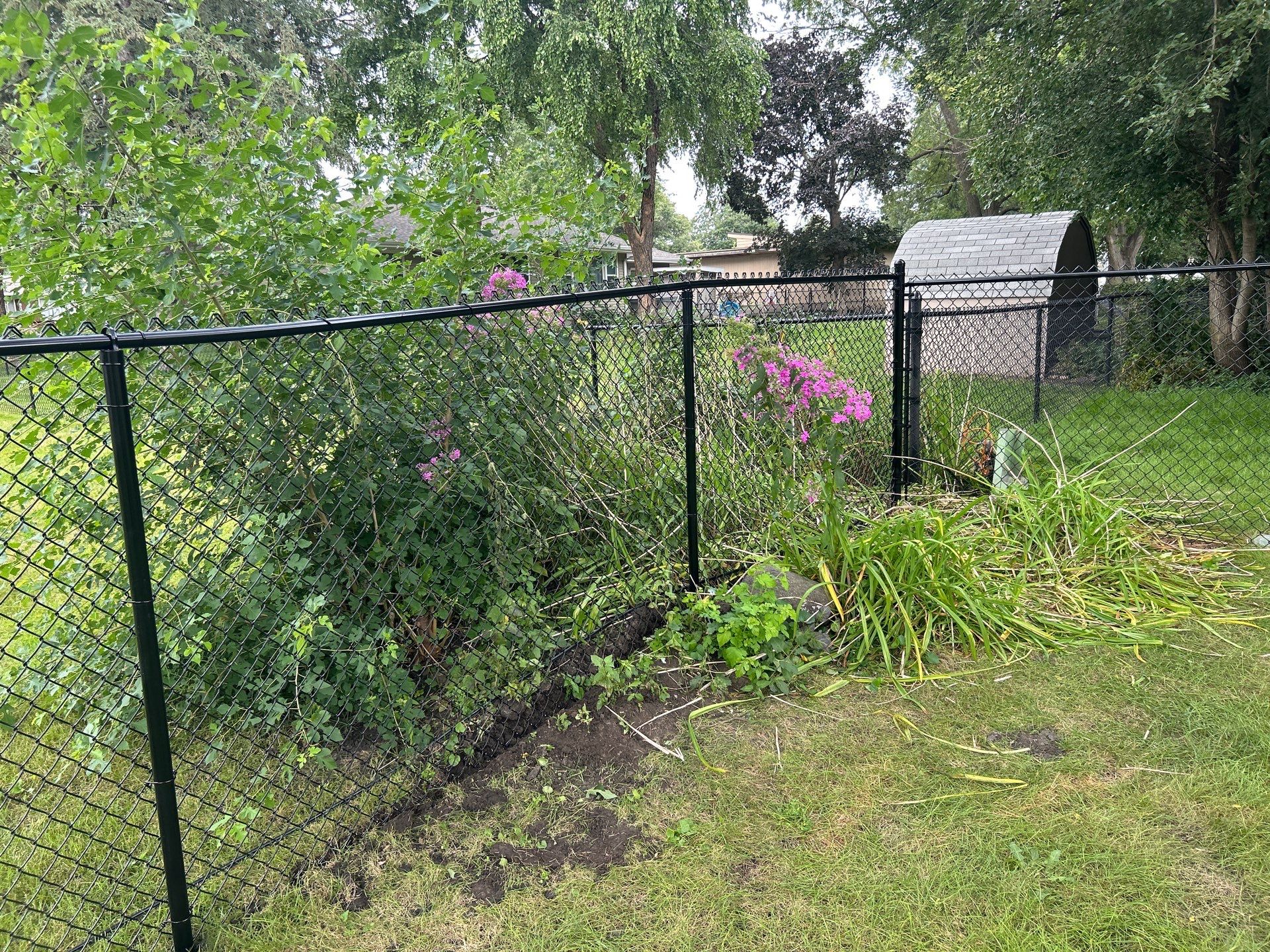Black Vinyl Coated Chain Link Fence Installation in Waterloo by Perfect Picket Fence and Stain