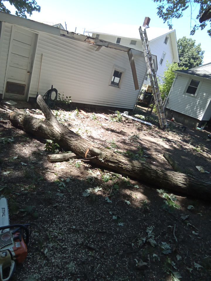 Storm Damaged Tree Removal  using Tree Removal by Mike Jones & Sons Tree Service LLC 