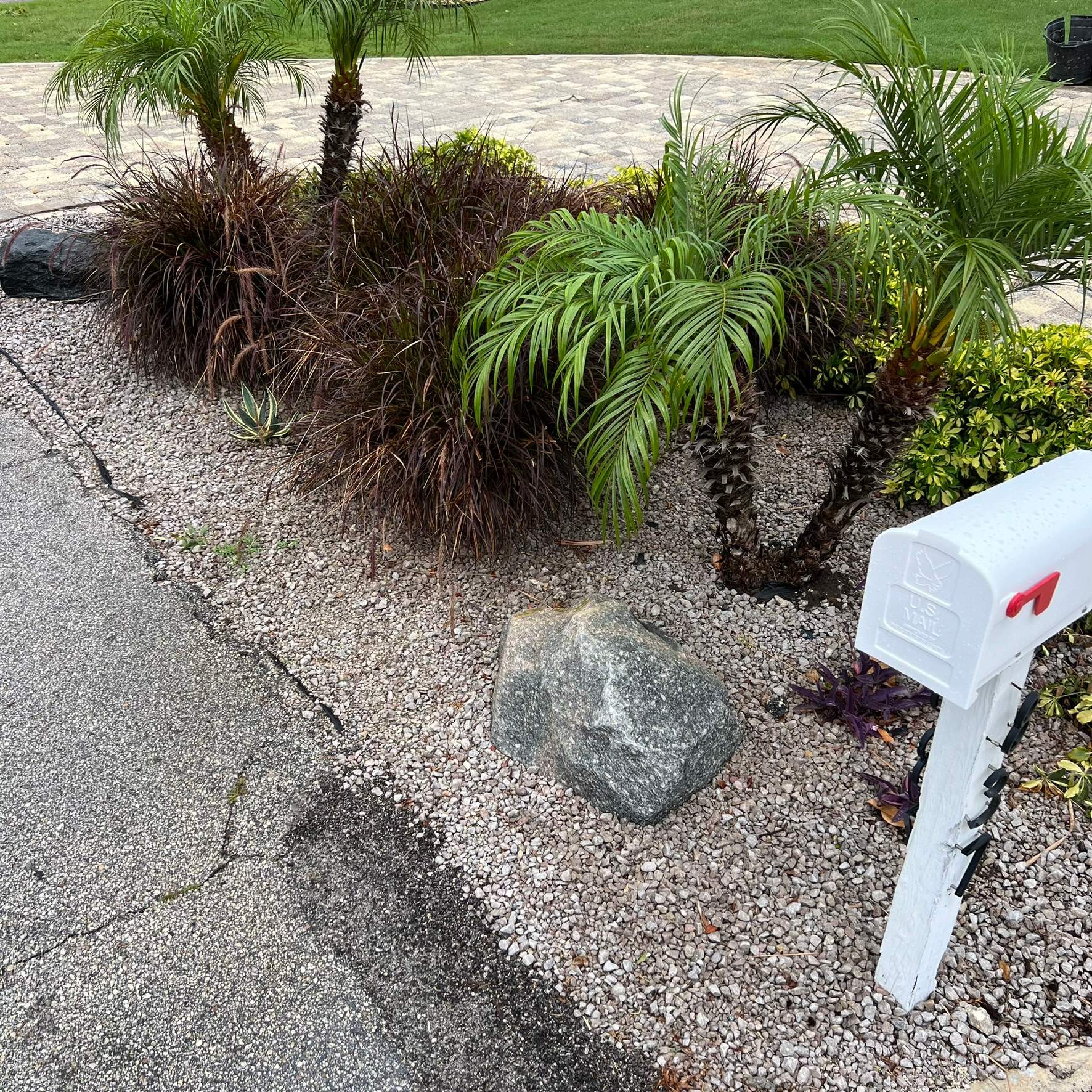 Rock & Agave Installation | Residential by ProGreen Services