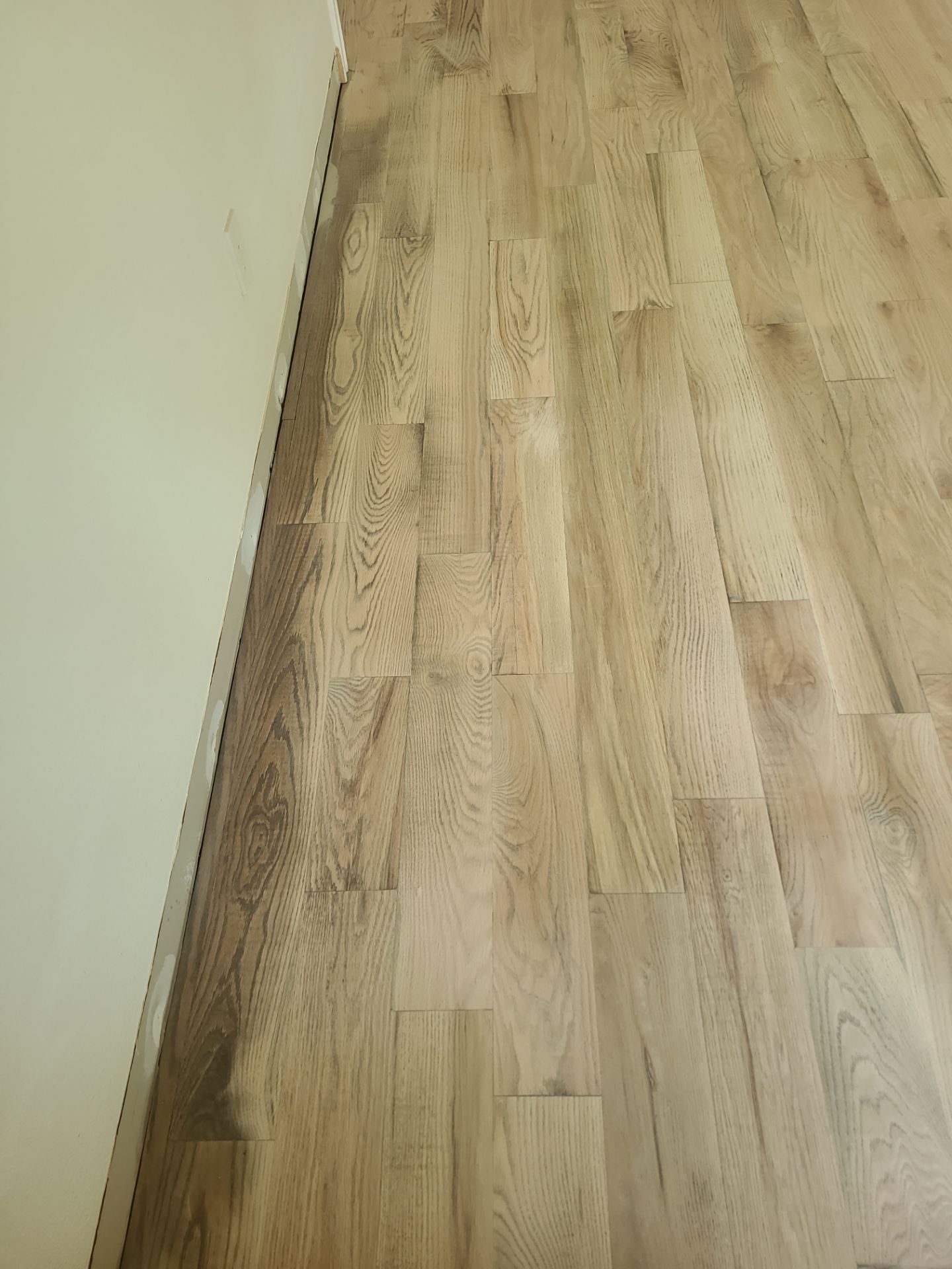 The Napolitano Family by SophAlx LLC