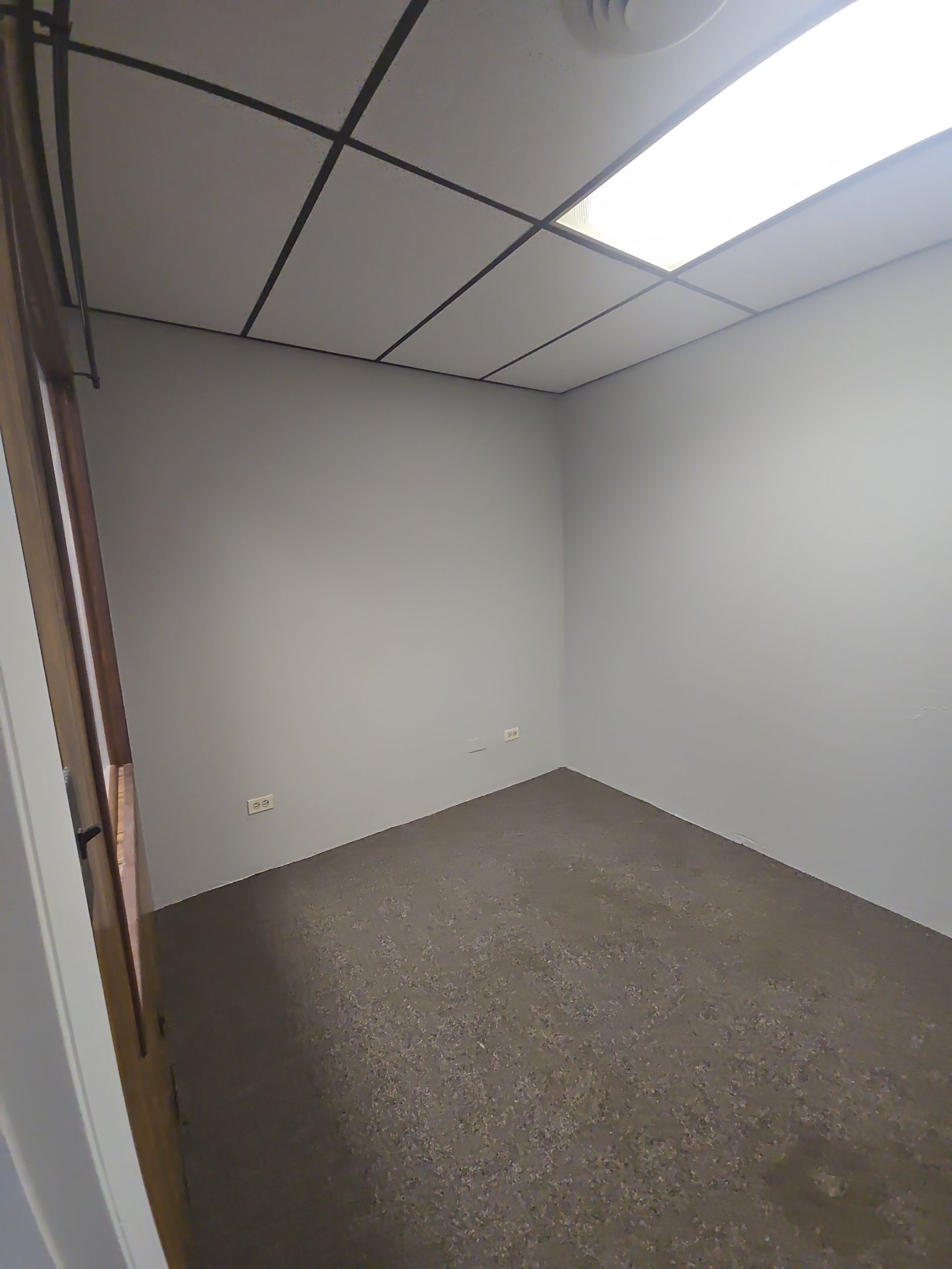 From Dull to Dynamic: Interior Office Transformation by J&M Painting LLC