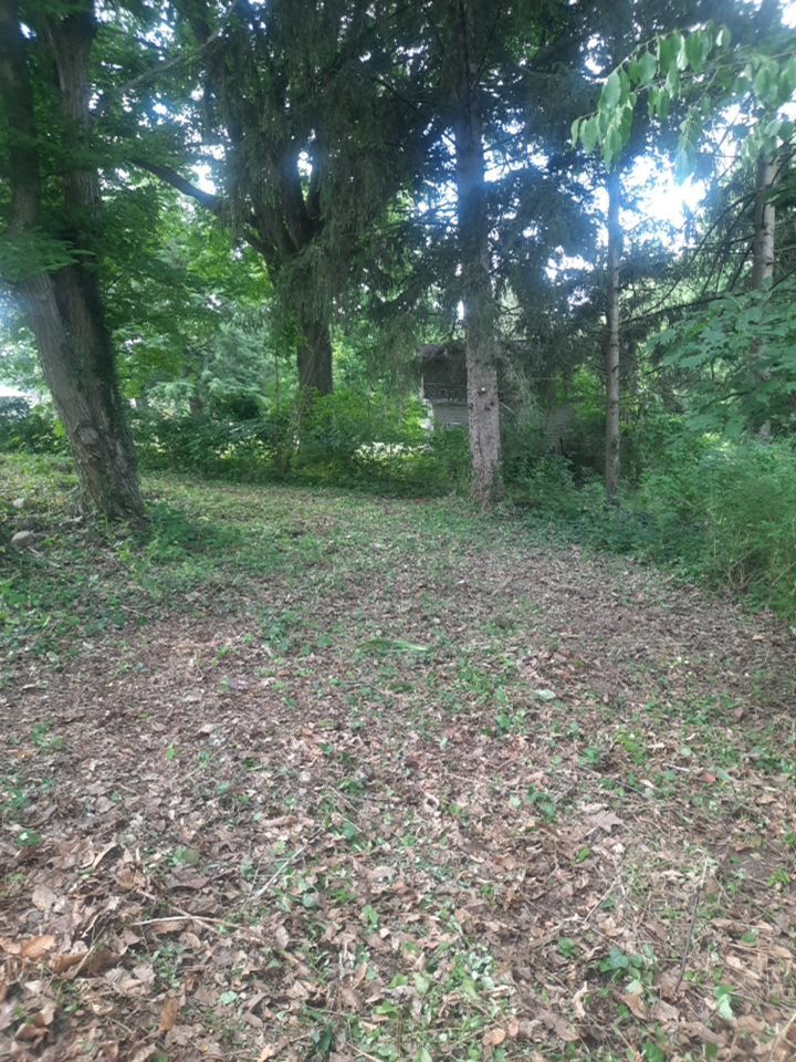 Tree Removal using Tree Removal by Mike Jones & Sons Tree Service LLC 