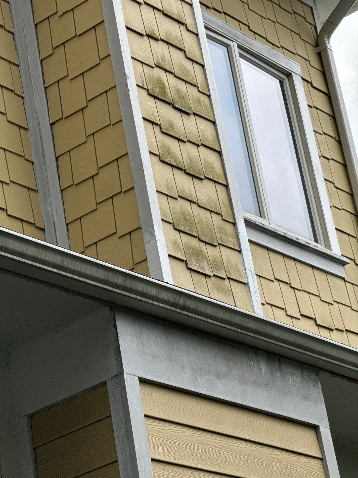 Project in Washington,DC by Greenspring Construction Services