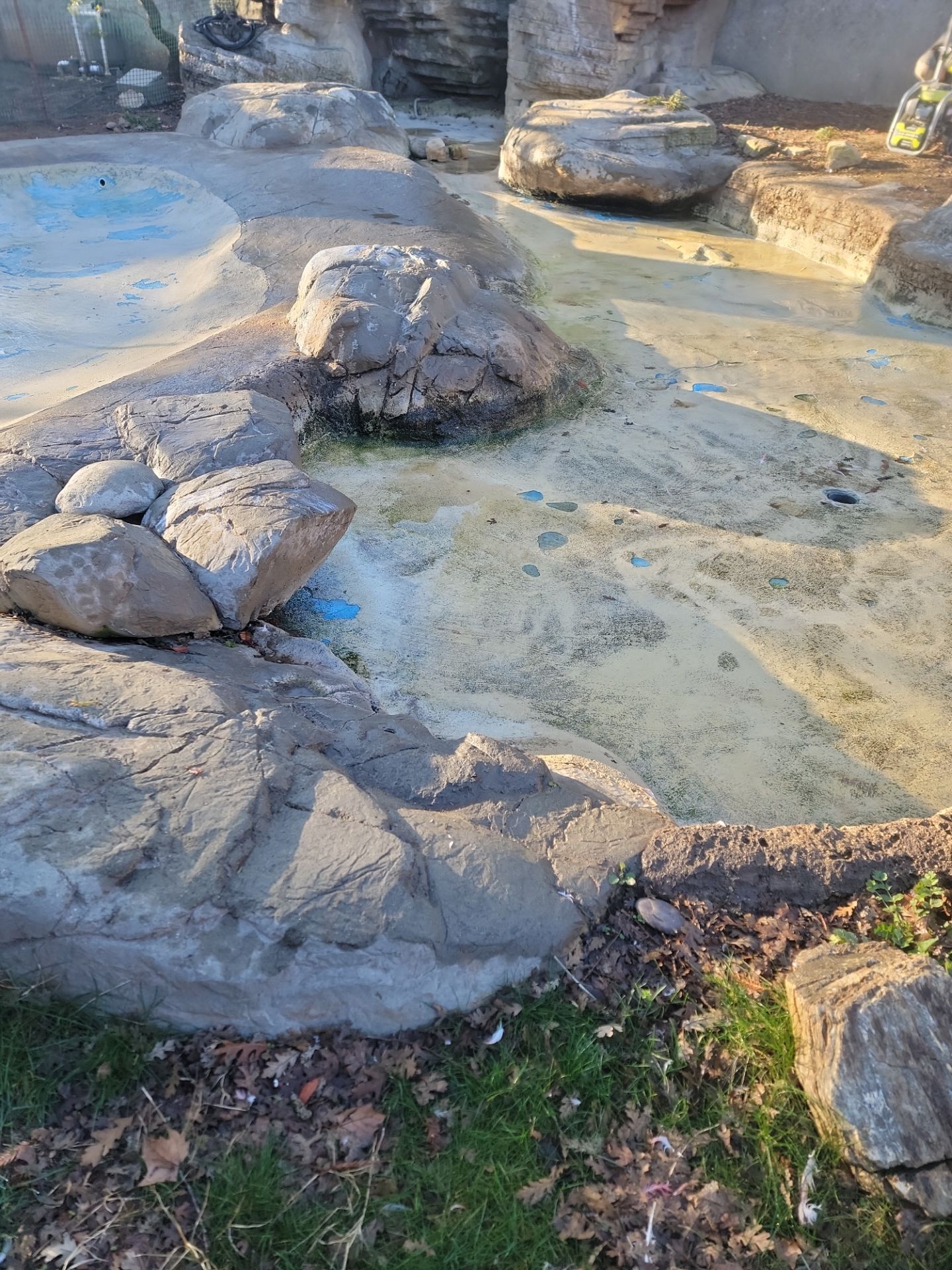 Charles Paddock Zoo Flamingo Pond by MGP Coatings